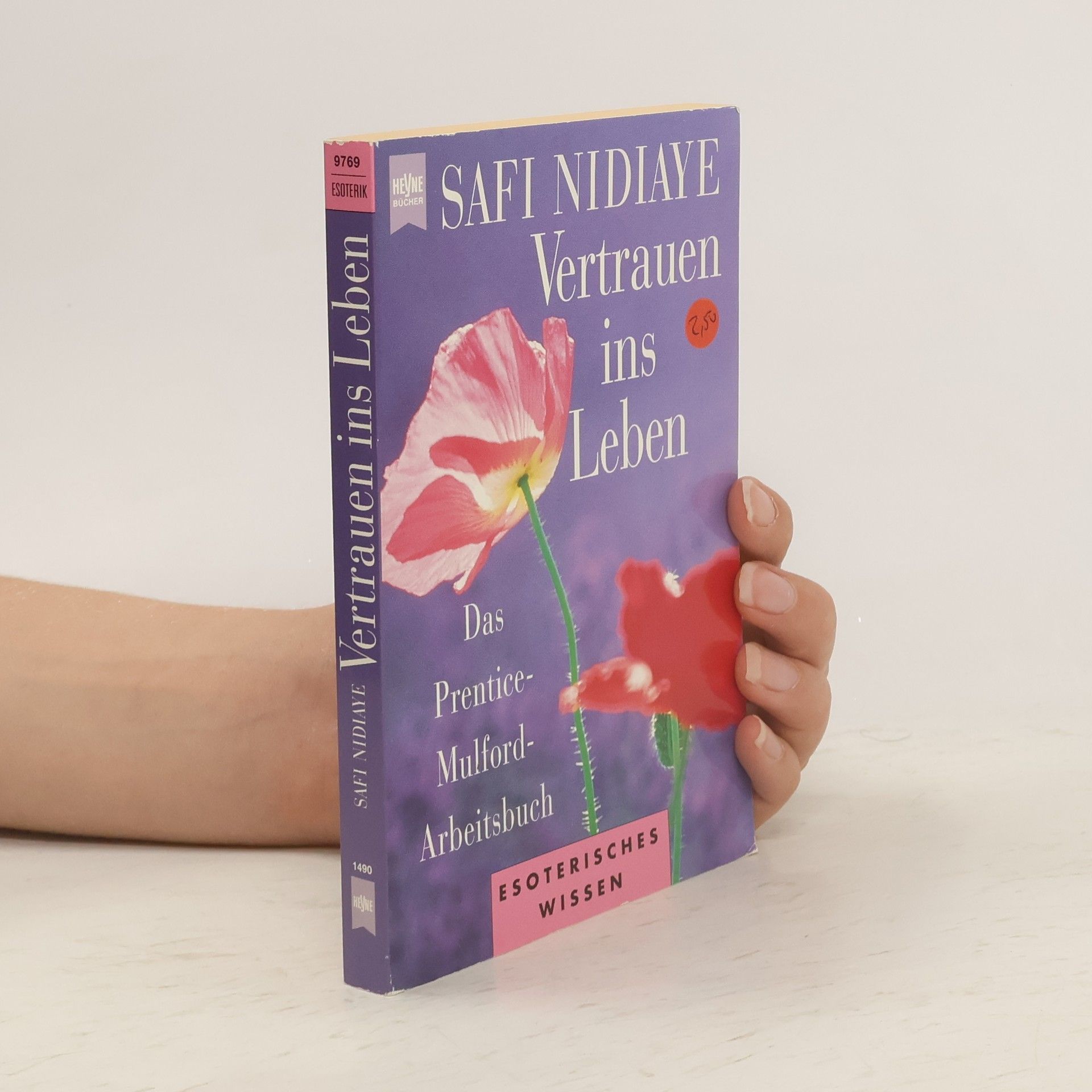 Safi Nidiaye Vertrauen ins Leben
