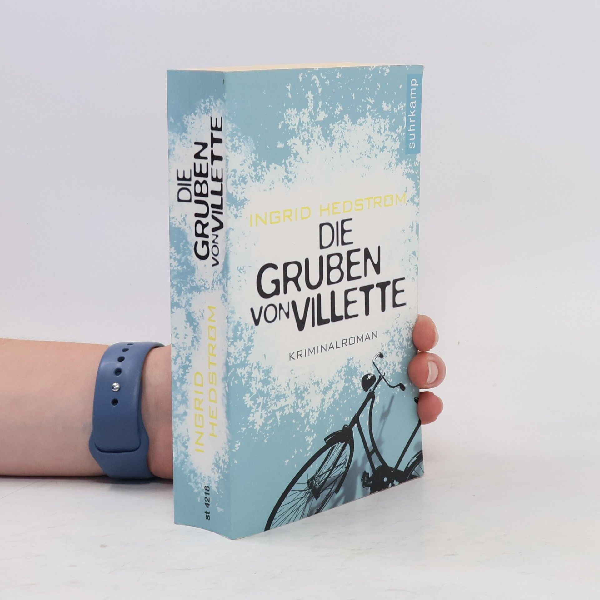 Ingrid Hedström Die Gruben von Villette