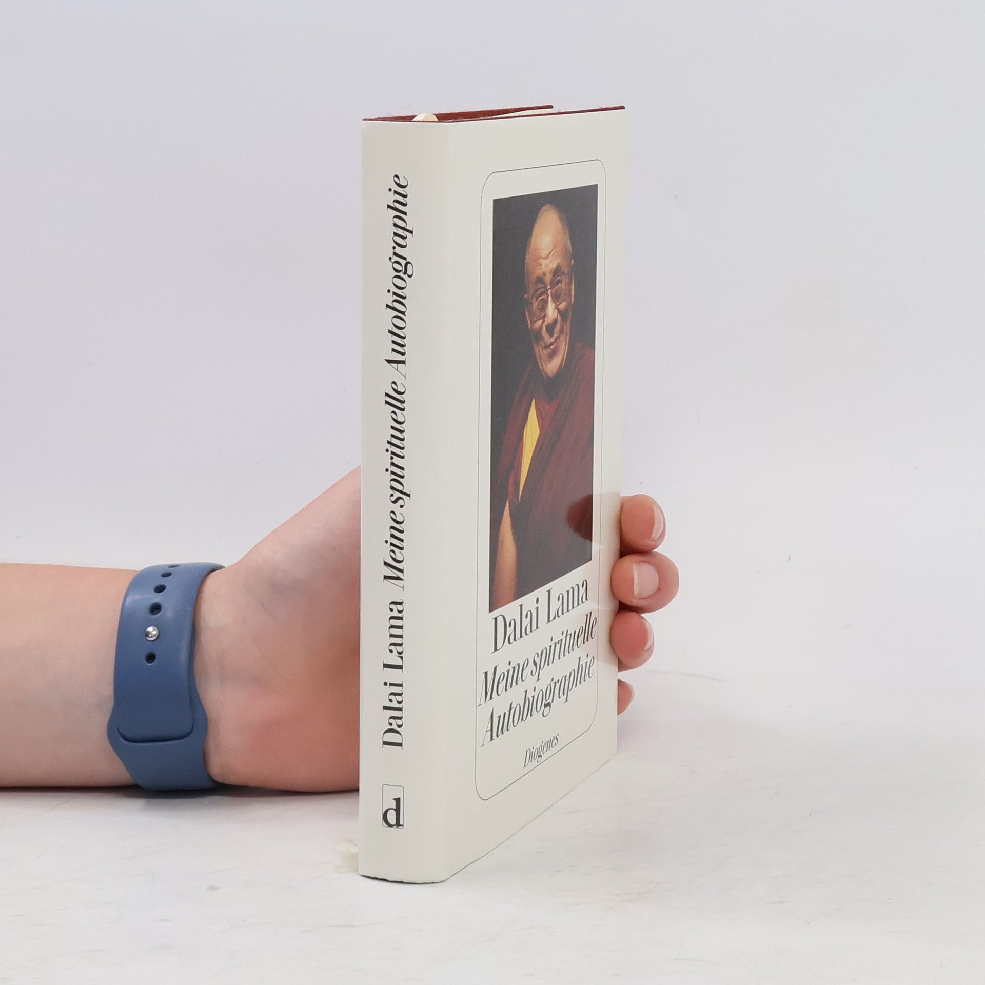 Meine spirituelle Autobiographie