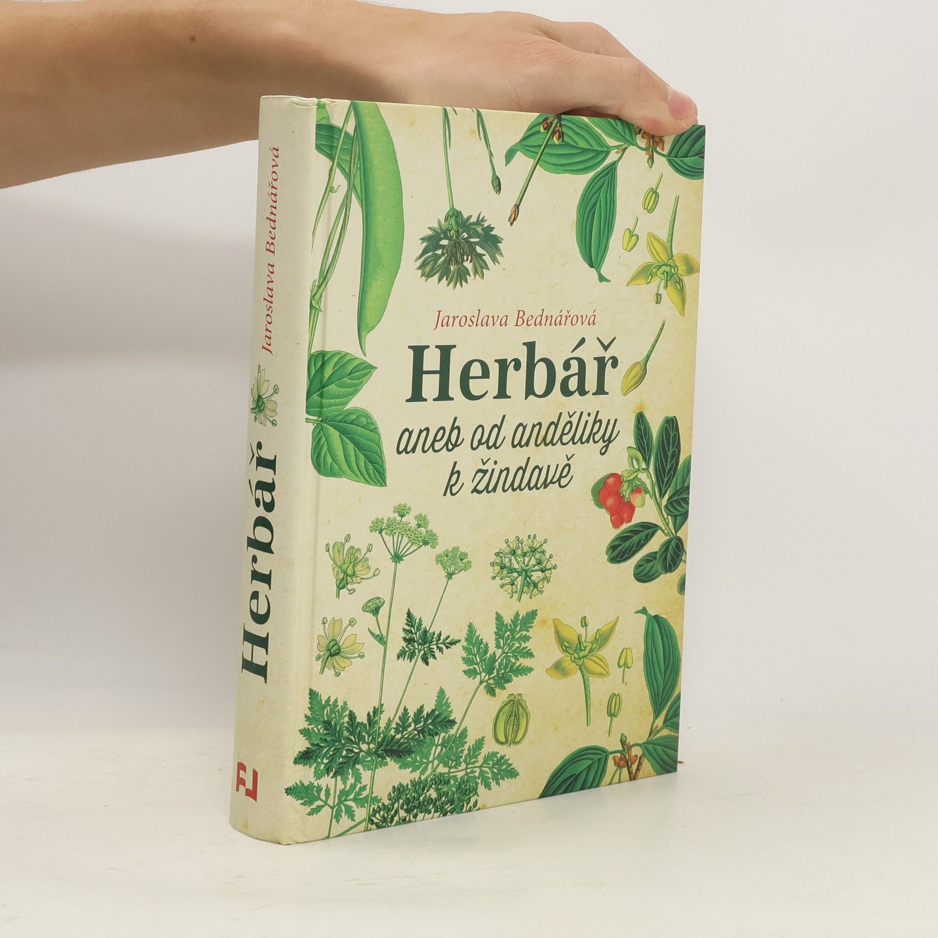 Jaroslava Bednářová Herbář, aneb, Od anděliky k žindavě
