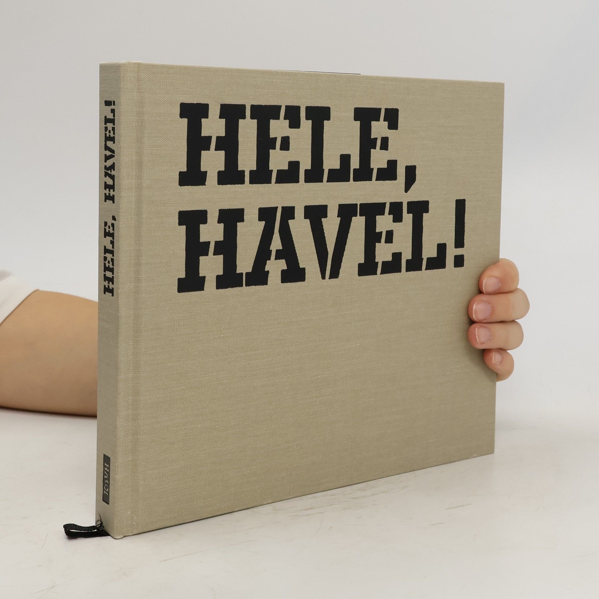 Collectif d'auteurs Hele, Havel! Václav Havel v domácích albech