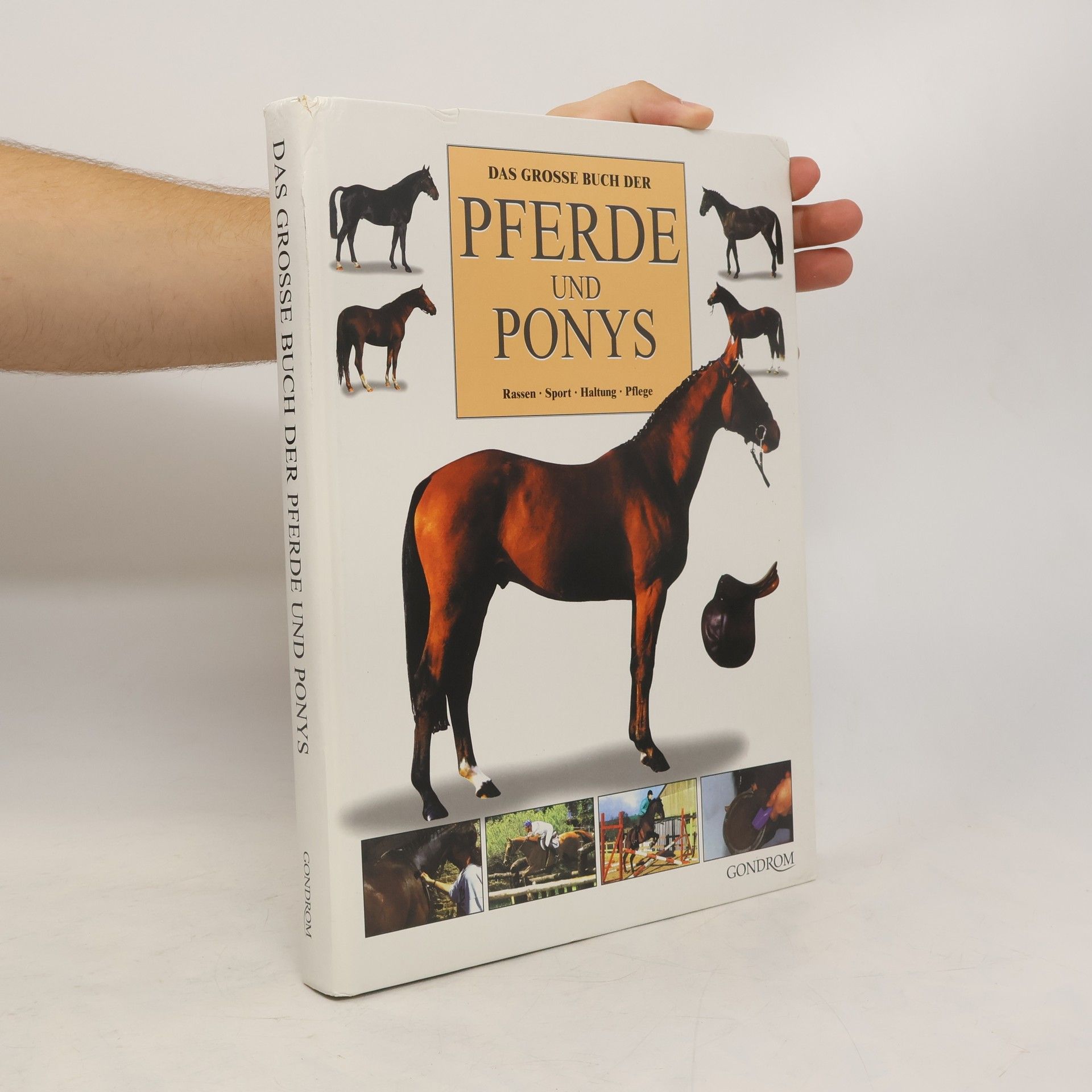 Judith Draper Das grosse Buch der Pferde und Ponys