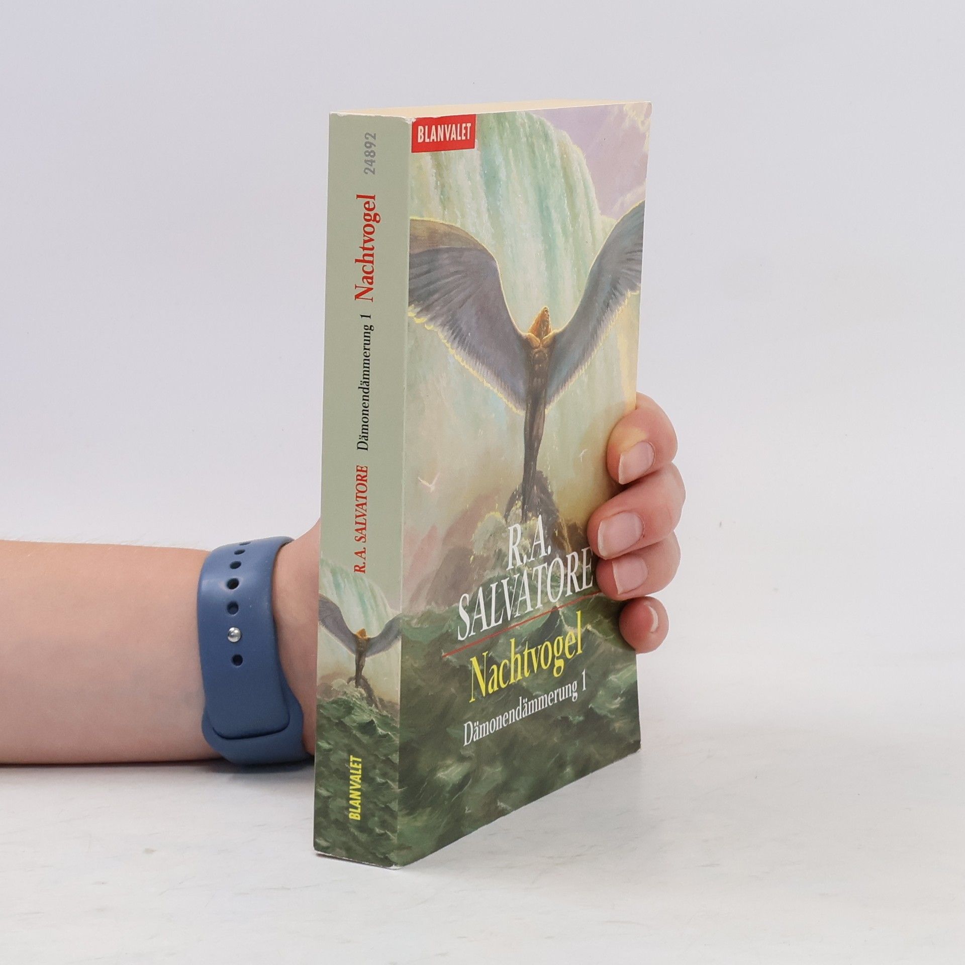 R. A. Salvatore Dämonendämmerung 1. Nachtvogel