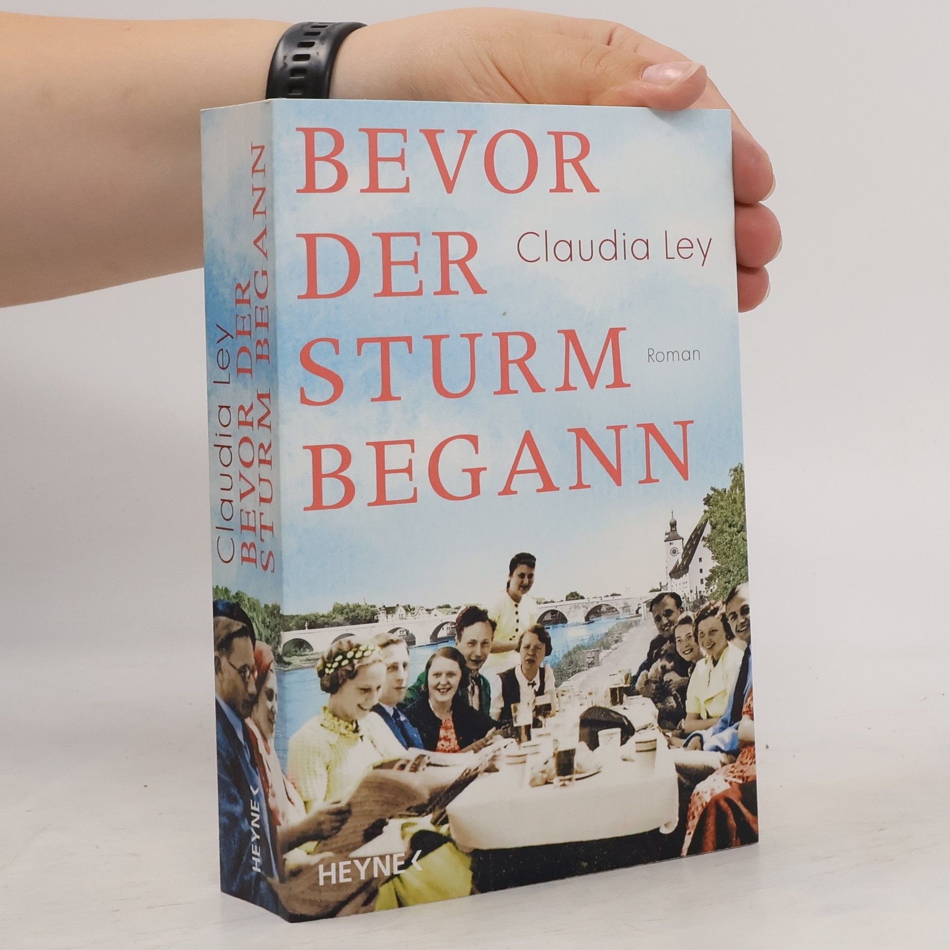 Claudia Ley Bevor der Sturm begann