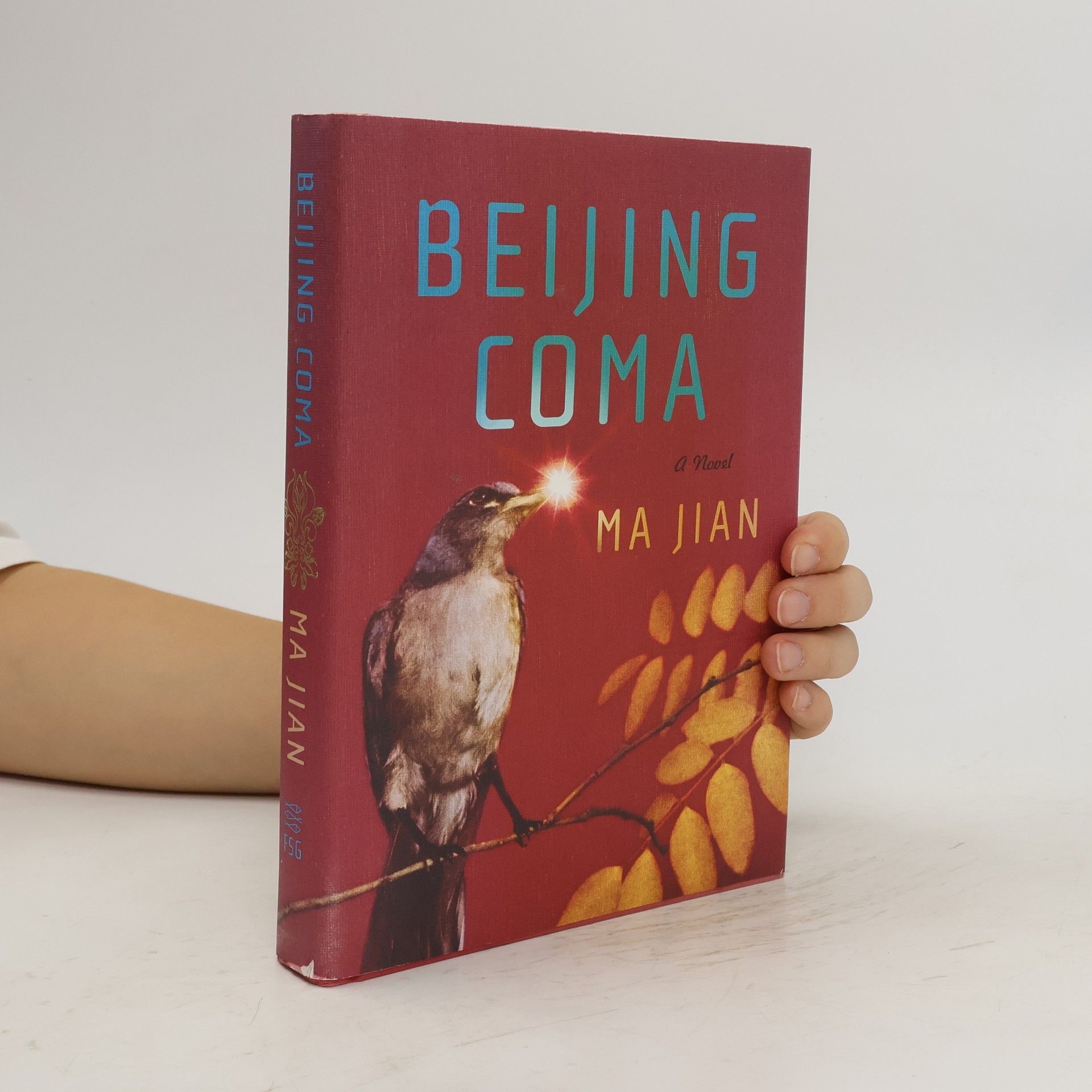Jian Ma Beijing Coma