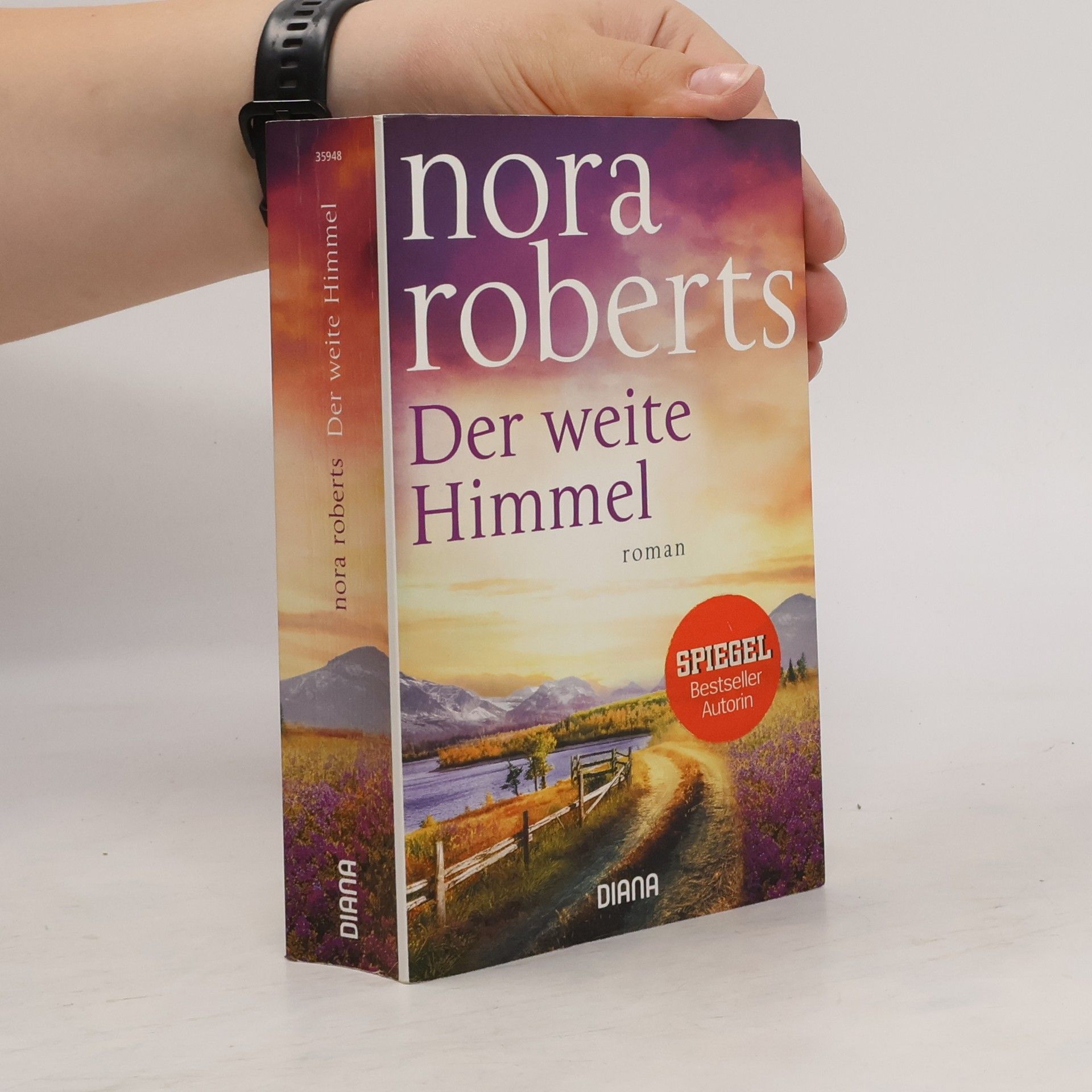 Nora Roberts Der weite Himmel
