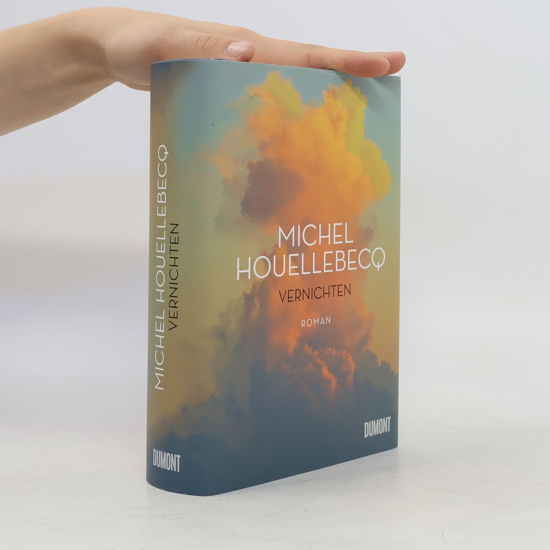 Michel Houellebecq Vernichten