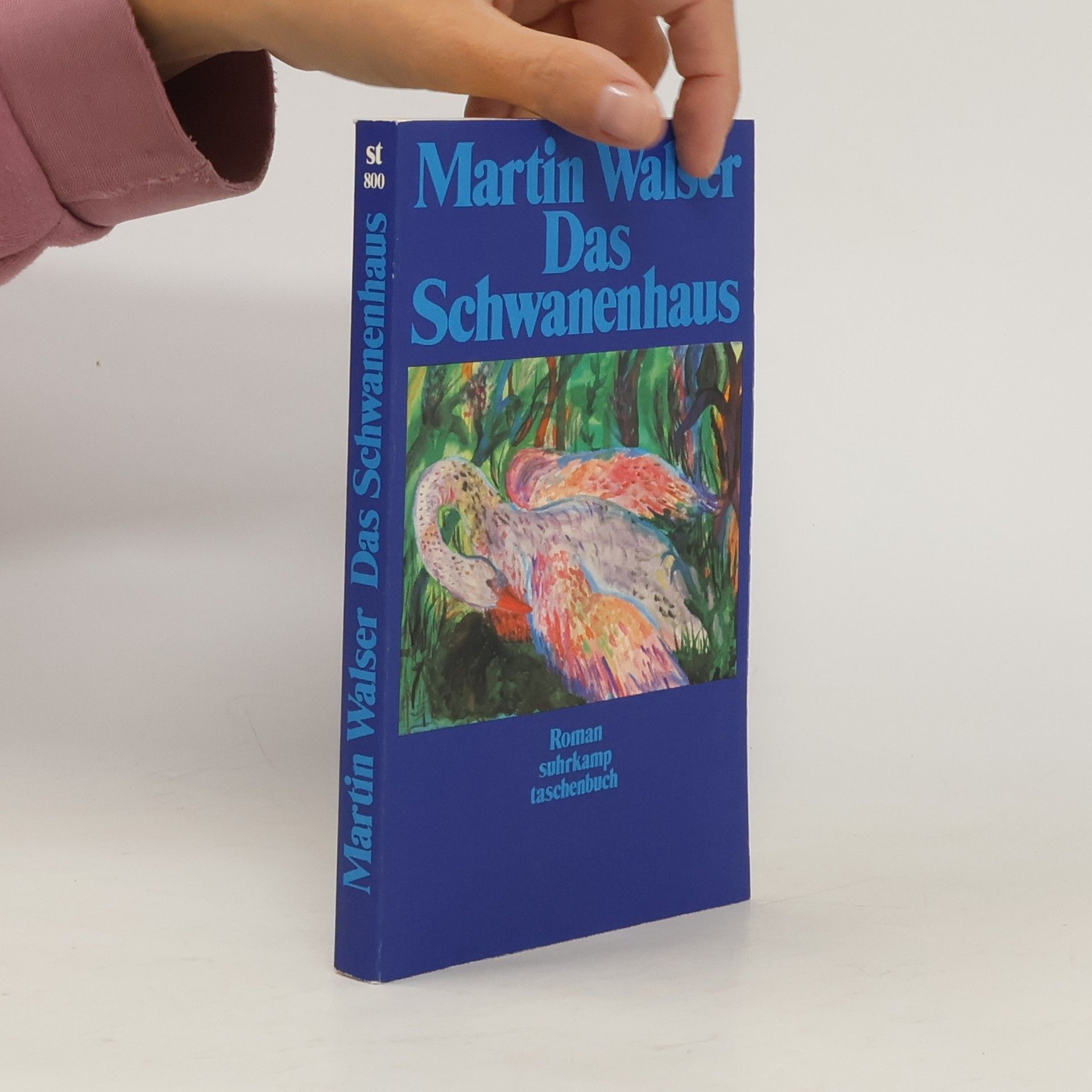 Martin Walser Das Schwanenhaus