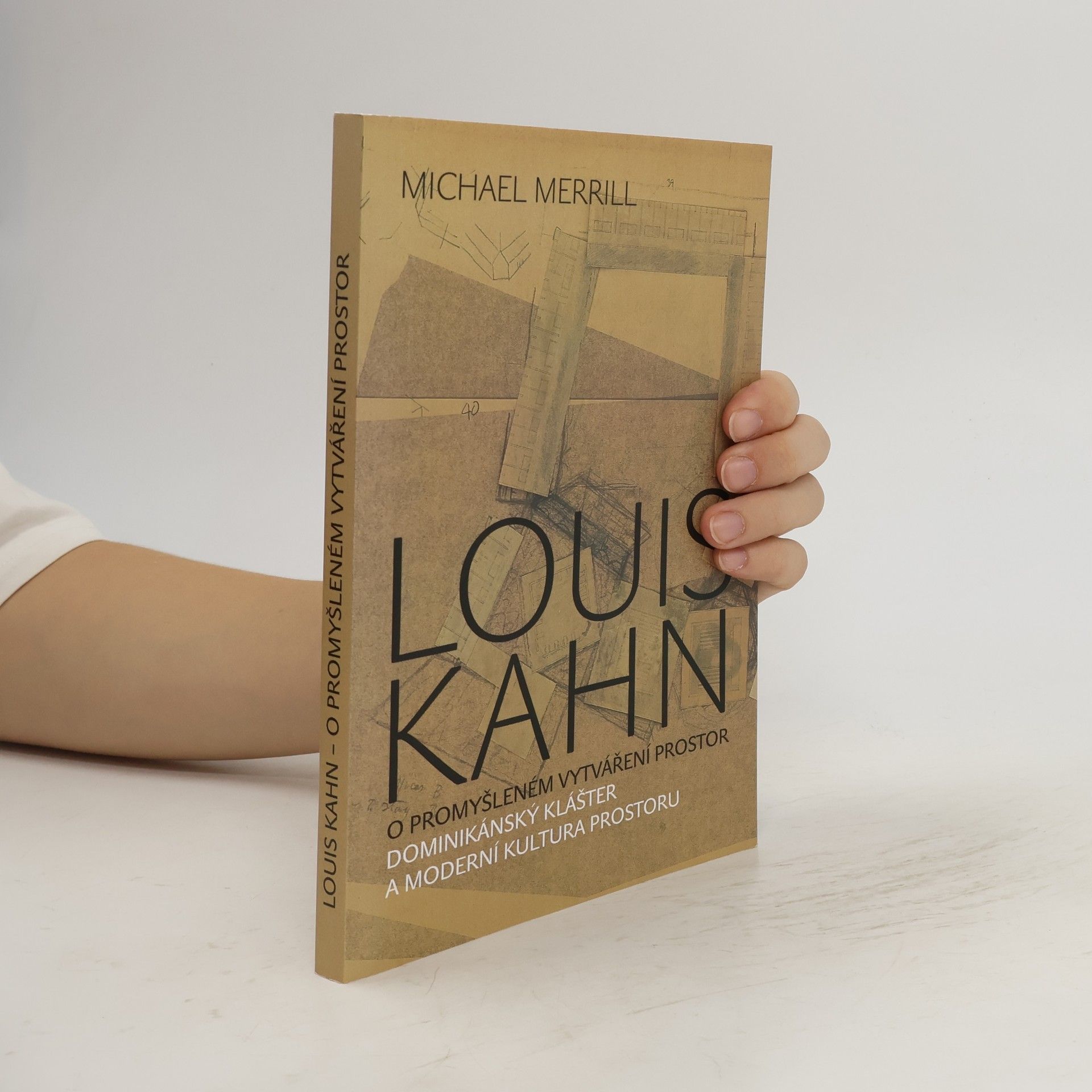 Michael Merrill Louis Kahn