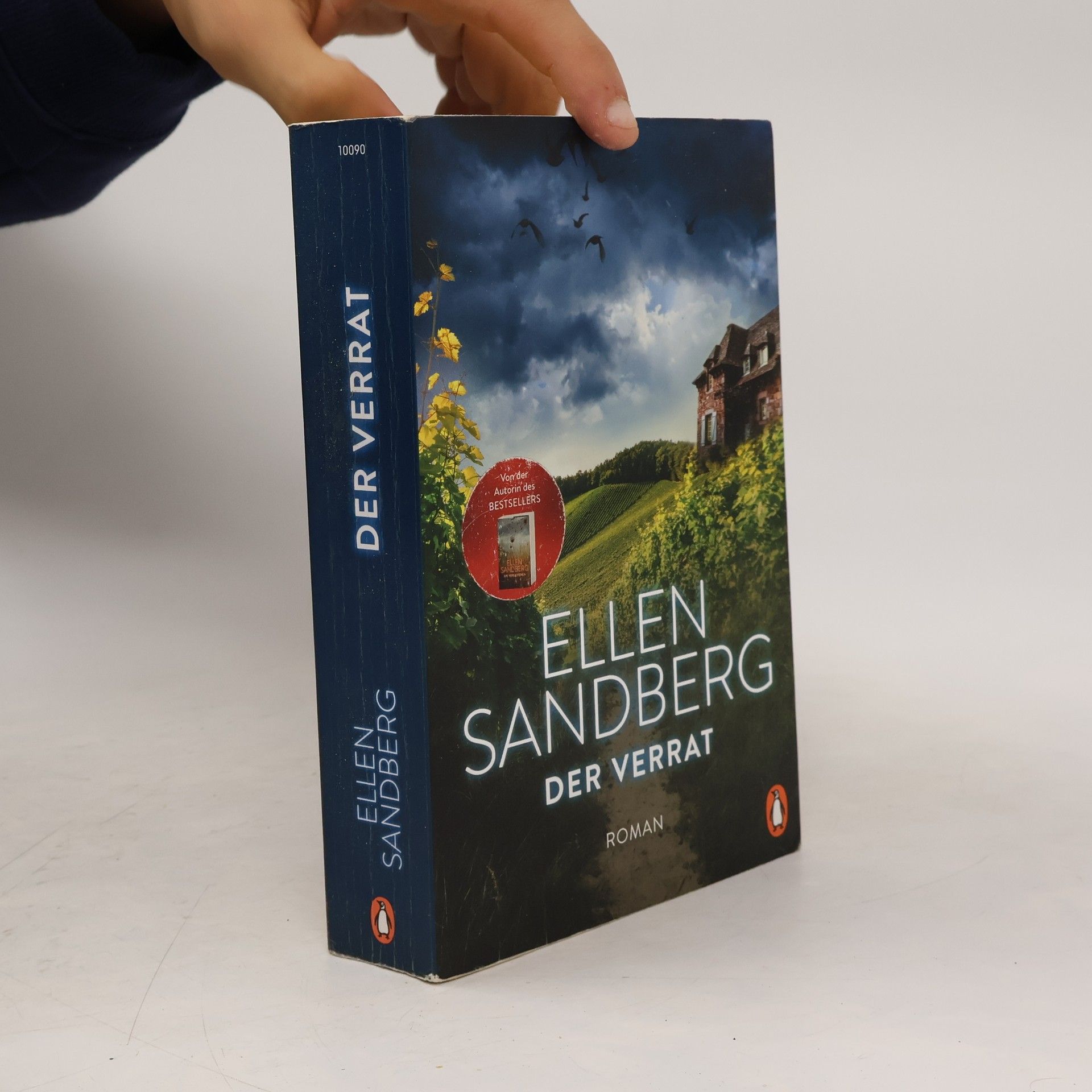 Ellen Sandberg Der Verrat