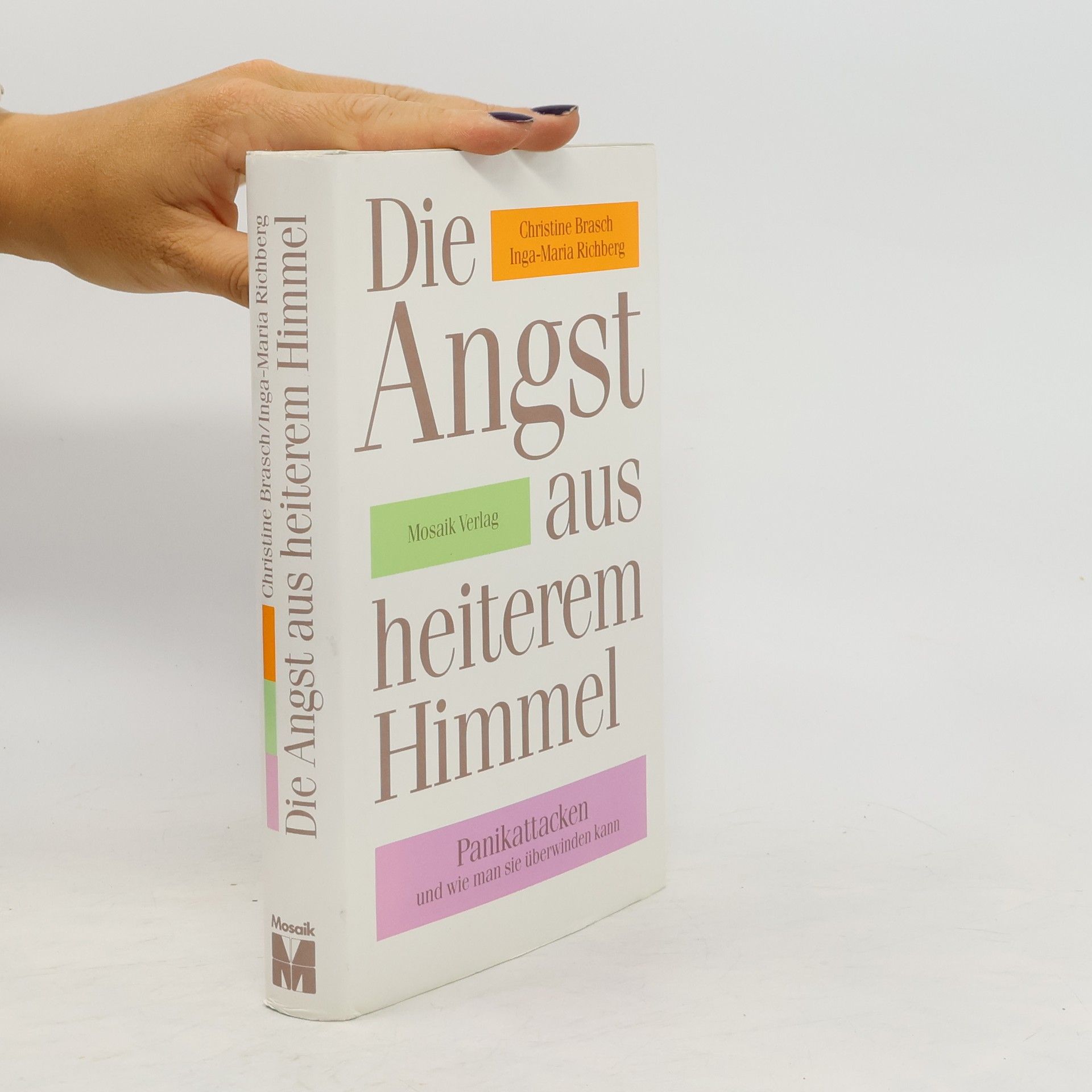 Christine Brasch Die Angst aus heiterem Himmel