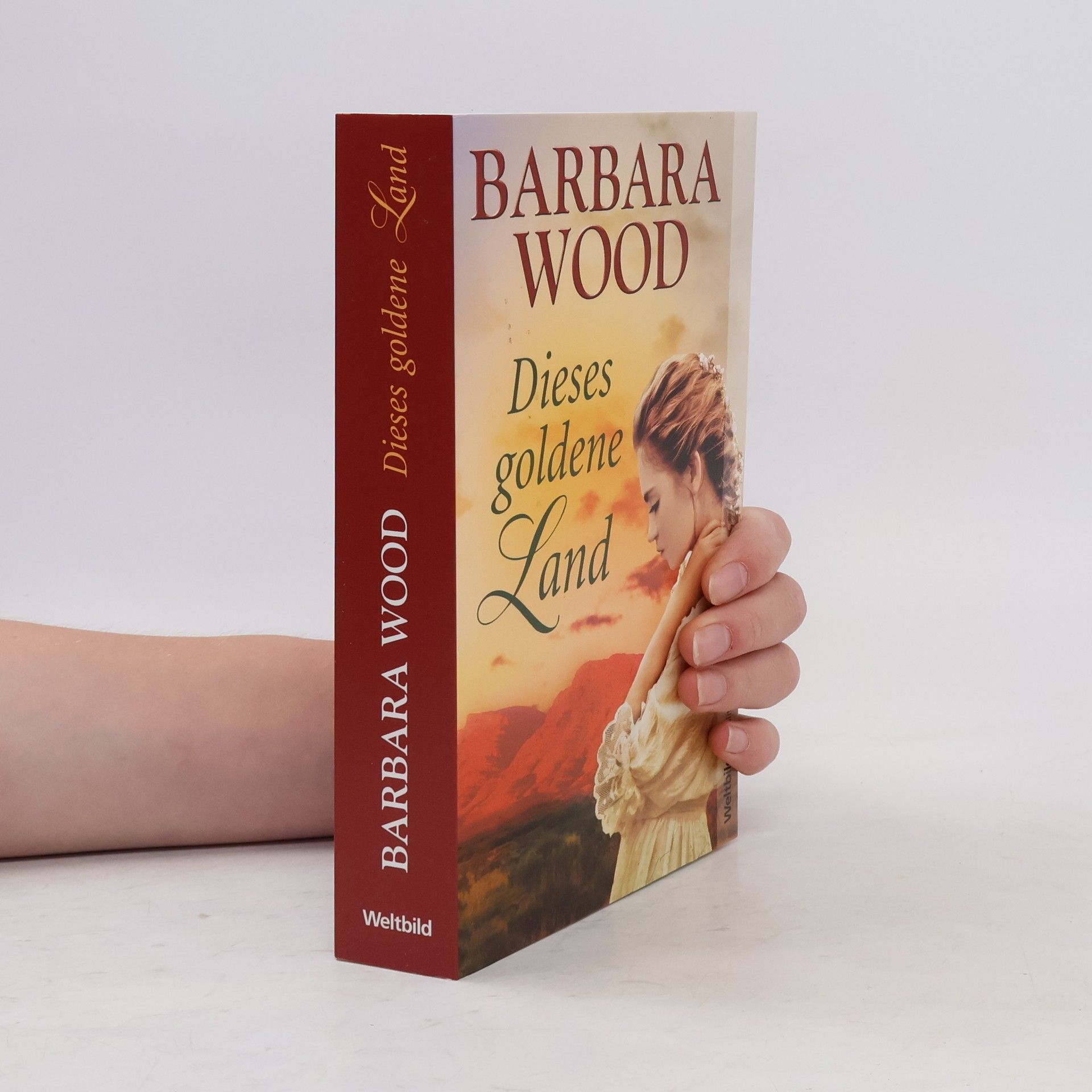 Barbara Wood Dieses goldene Land