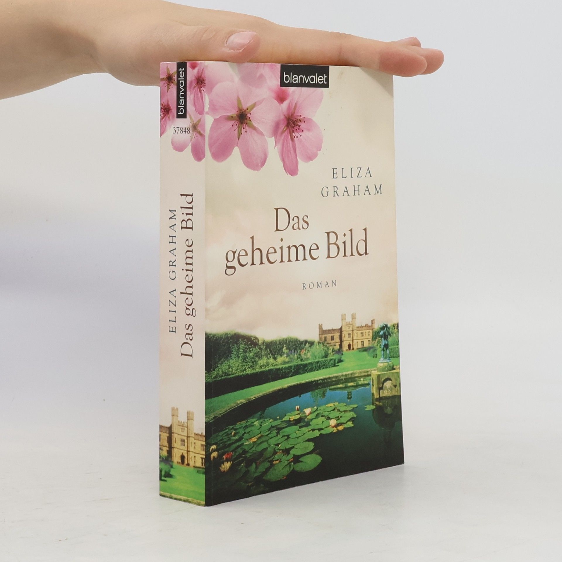 Eliza Graham Das geheime Bild