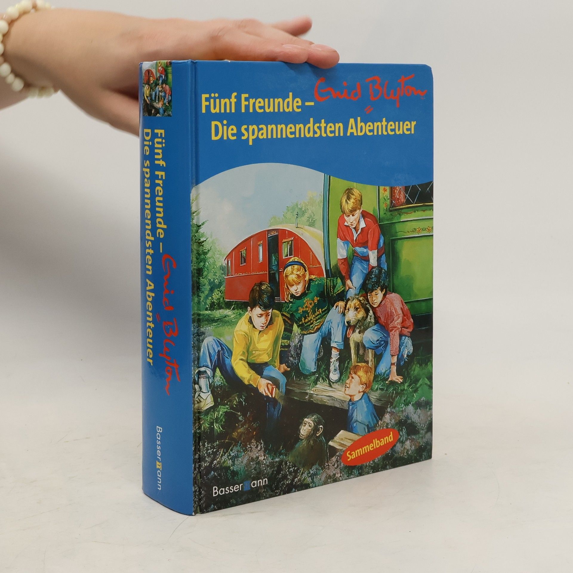 Enid Blyton Fünf Freunde - die spannendsten Abenteuer