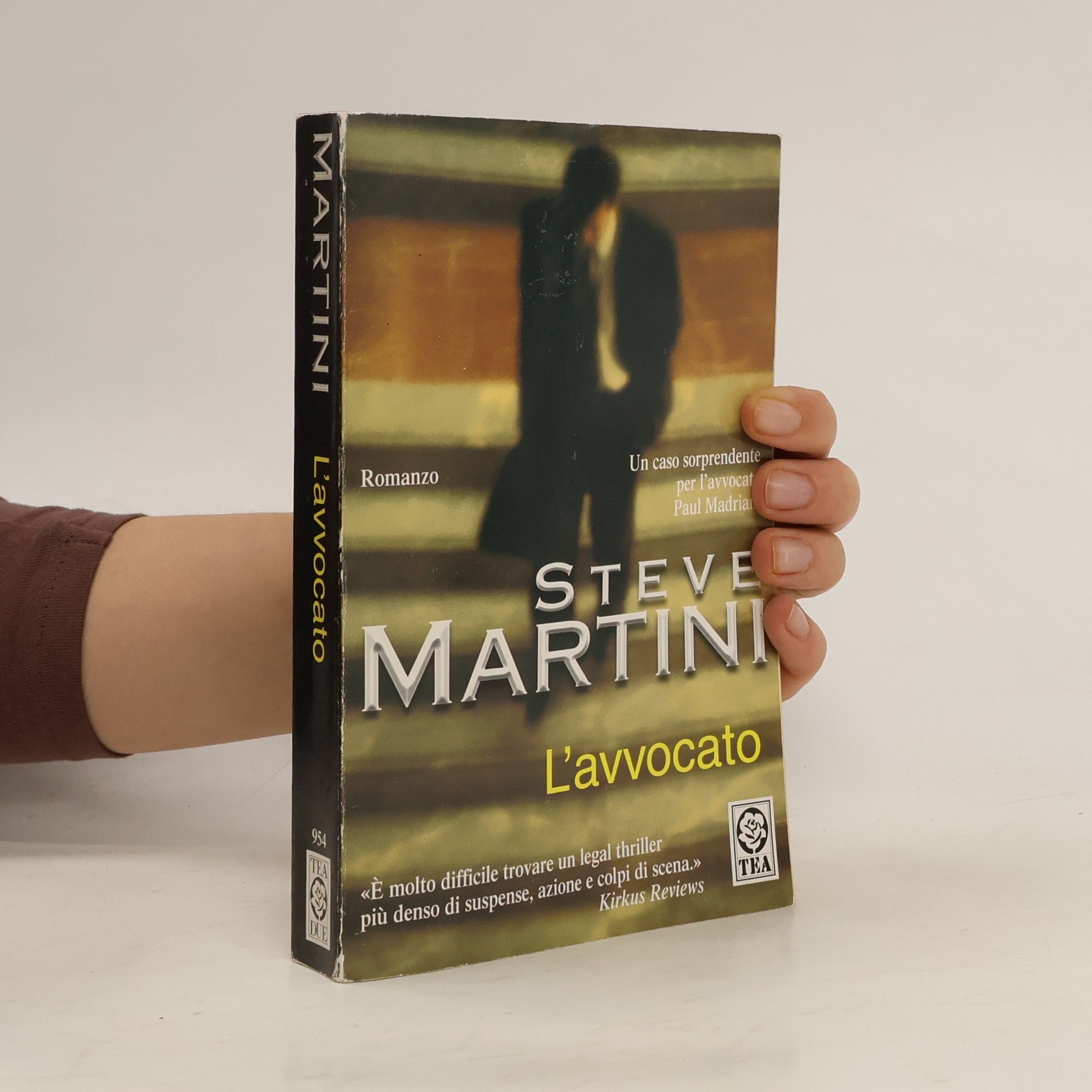 Steve Martini L'avvocato