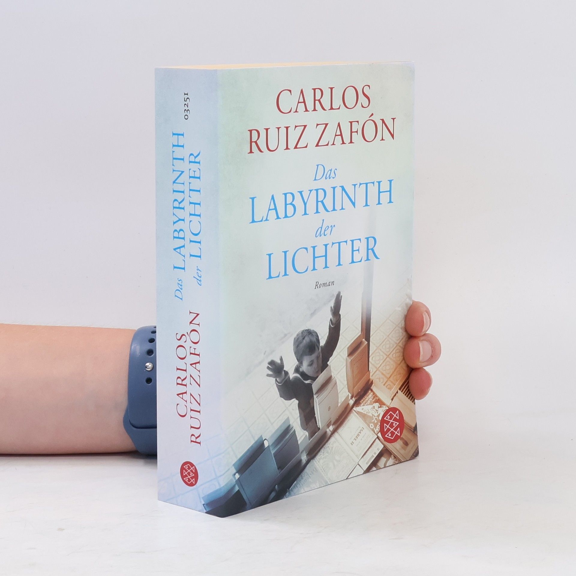 Carlos Ruiz Zafón Das Labyrinth der Lichter