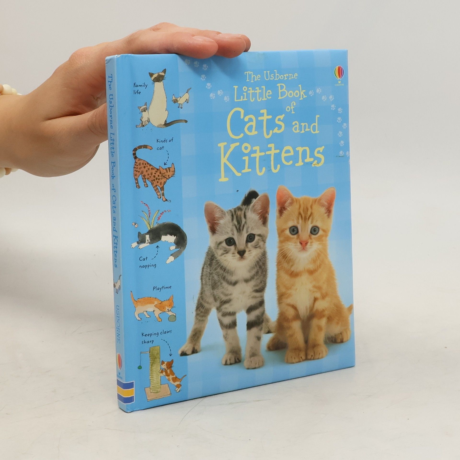 Sarah Khan The Usborne little book of cats and kittens