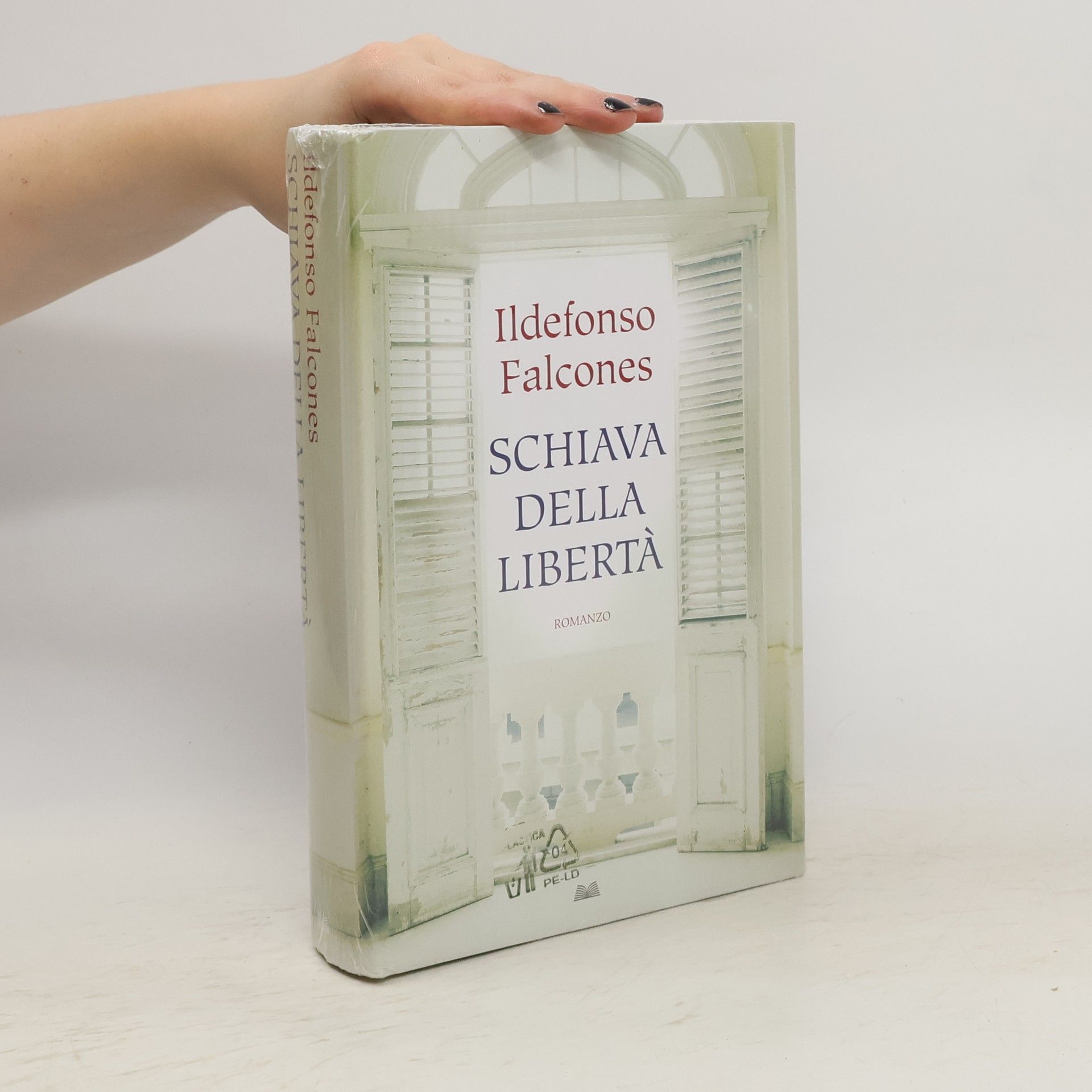 Ildefonso Falcones Schiava della liberta