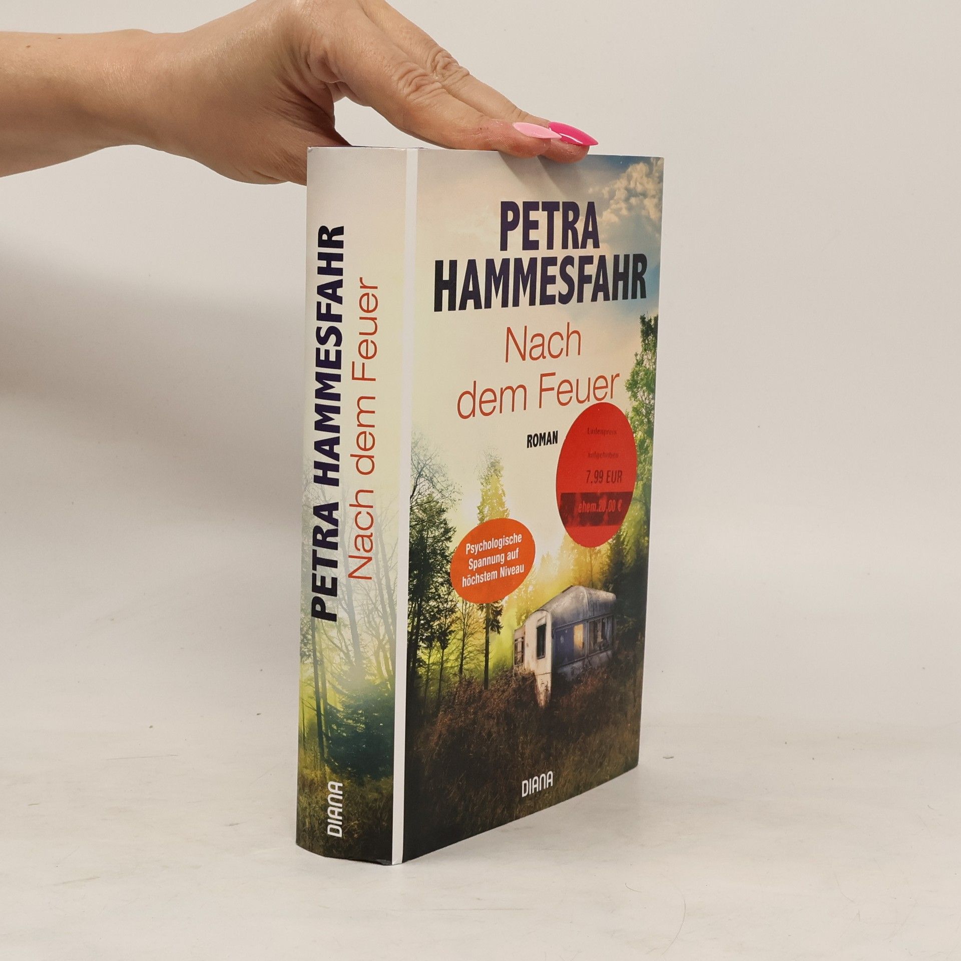 Petra Hammesfahr Nach dem Feuer