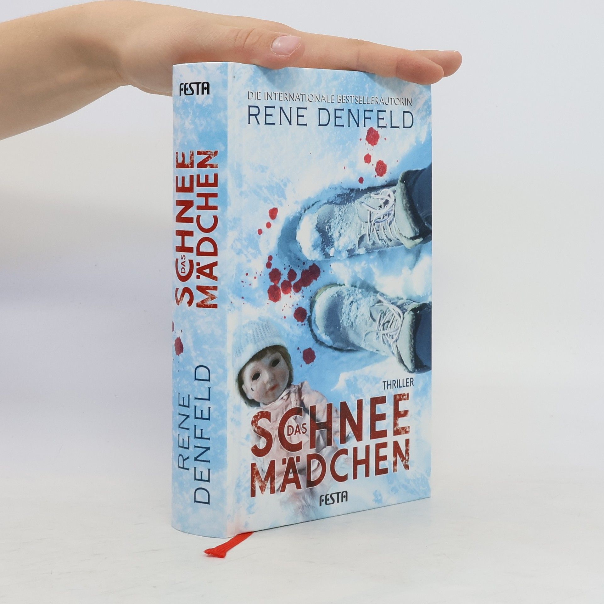 Rene Denfeld Das Schneemädchen