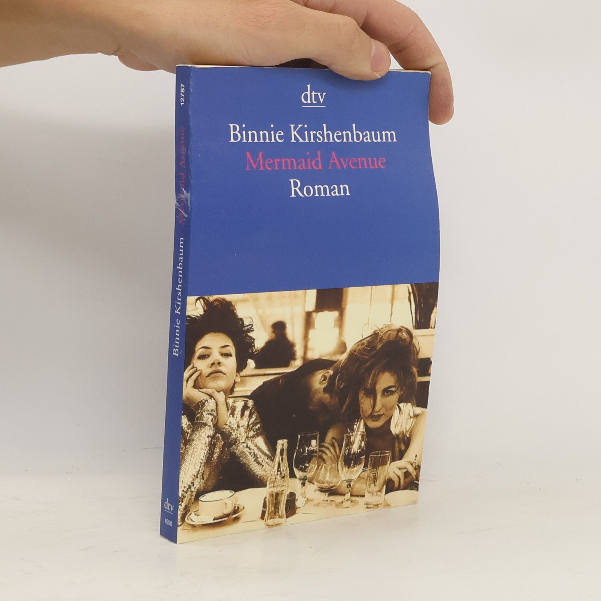 Binnie Kirshenbaum Mermaid Avenue. Ich, meine Freundin und all diese Männer Roman