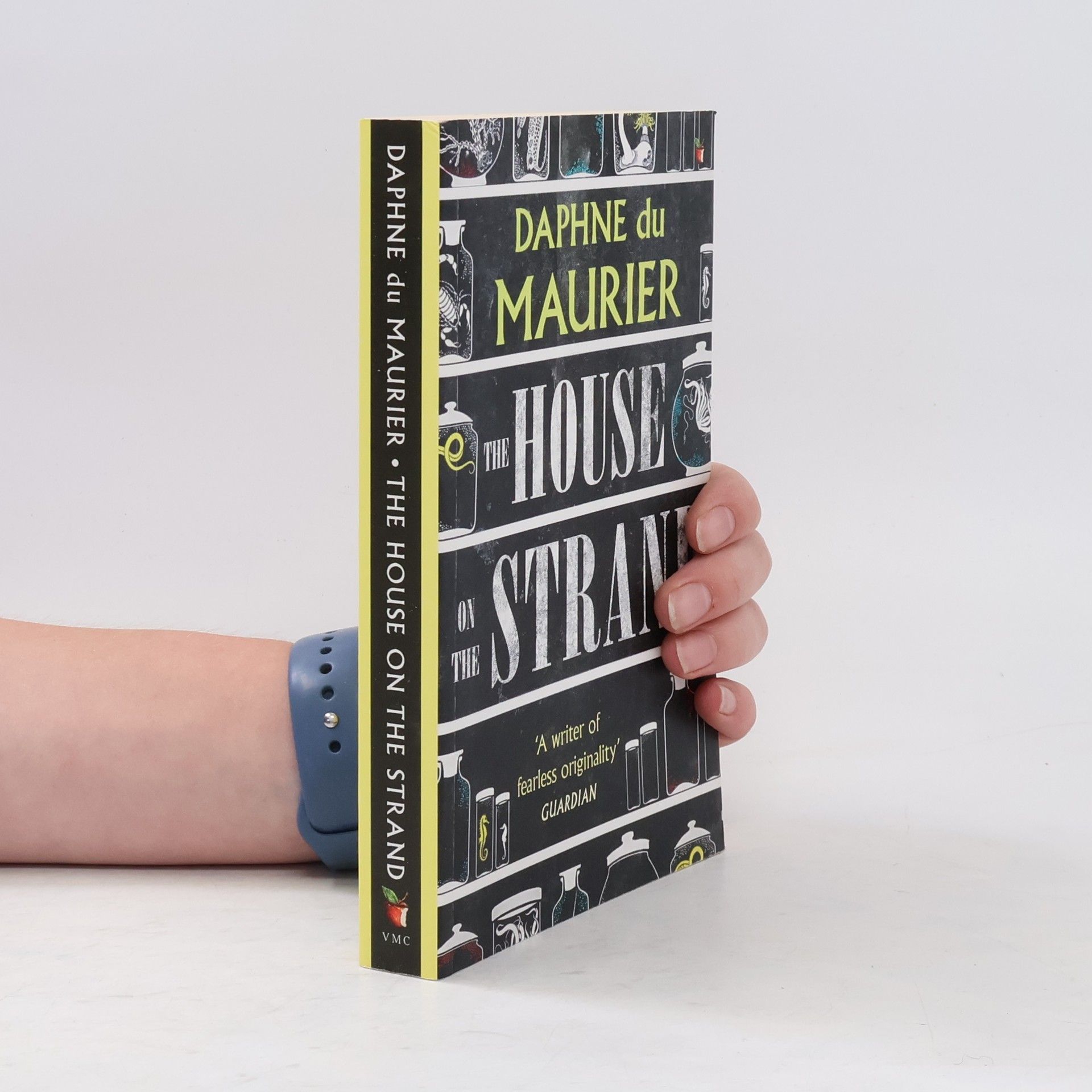 Daphne du Maurier The house on the strand