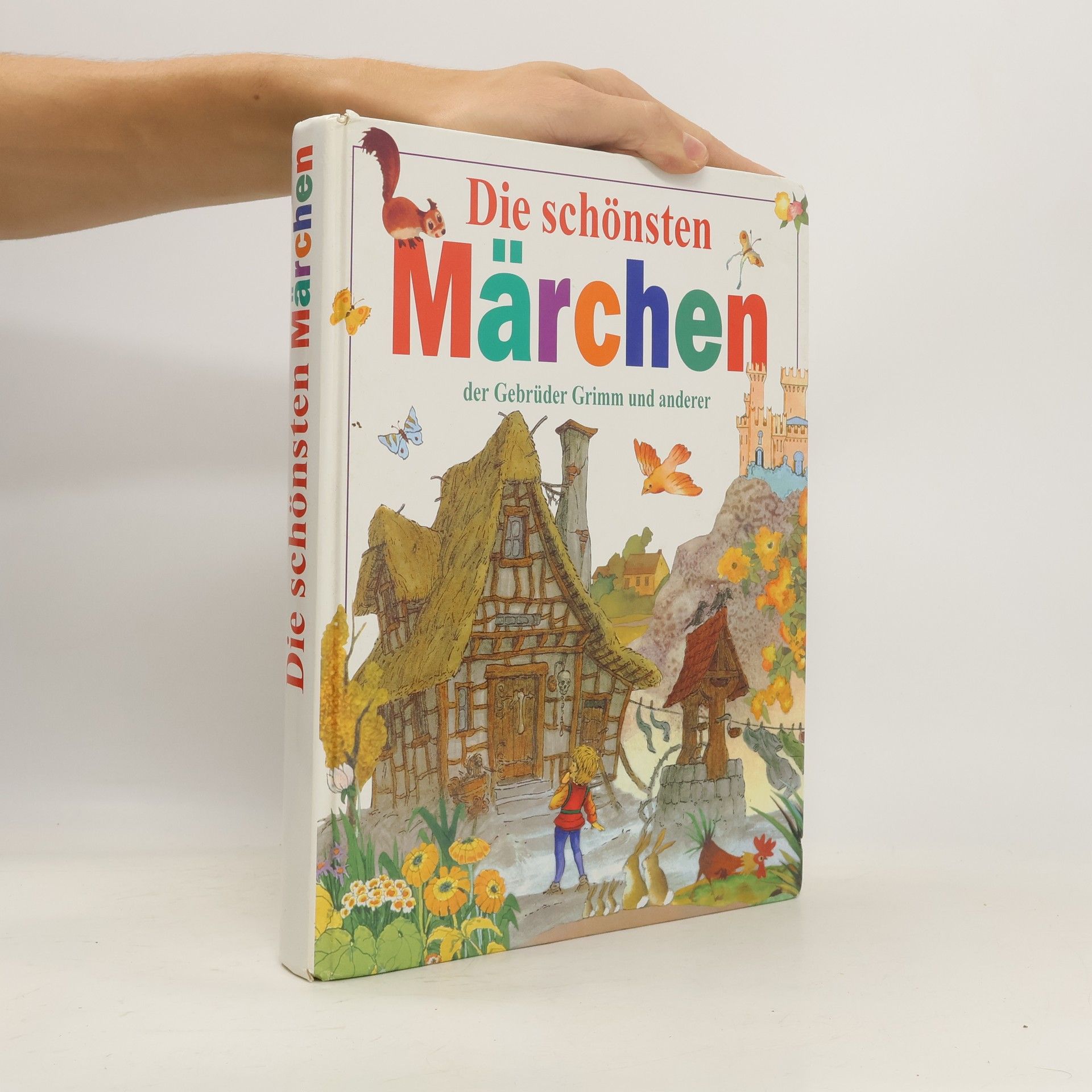 Jacob Ludwig Karl Grimm Die schönsten Märchen der Gebrüder Grimm und anderer