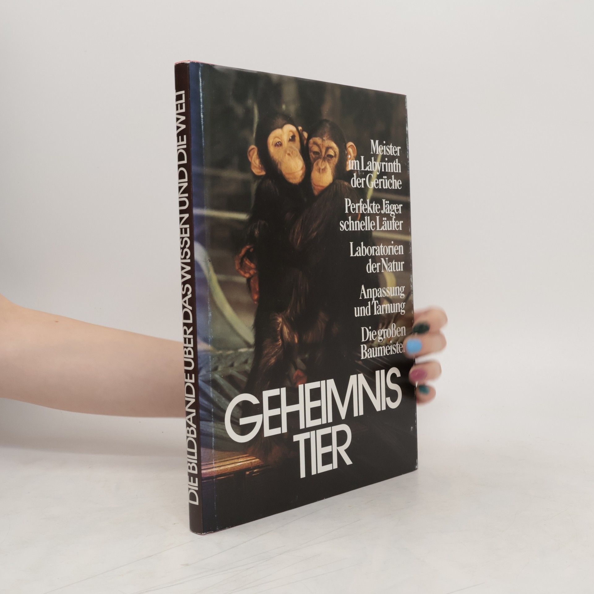 Autorenkollektiv Geheimnis Tier