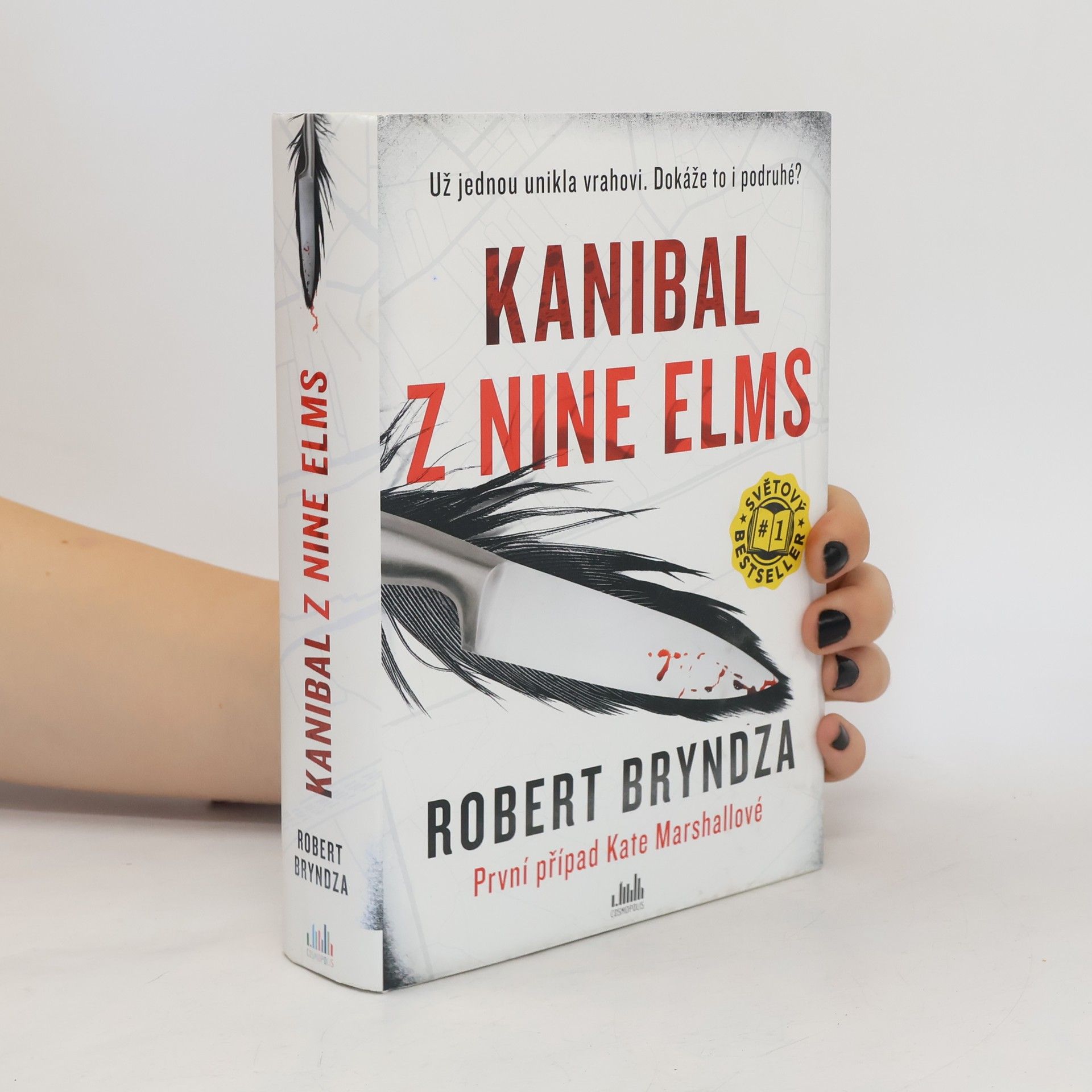 Robert Bryndza Kanibal z Nine Elms