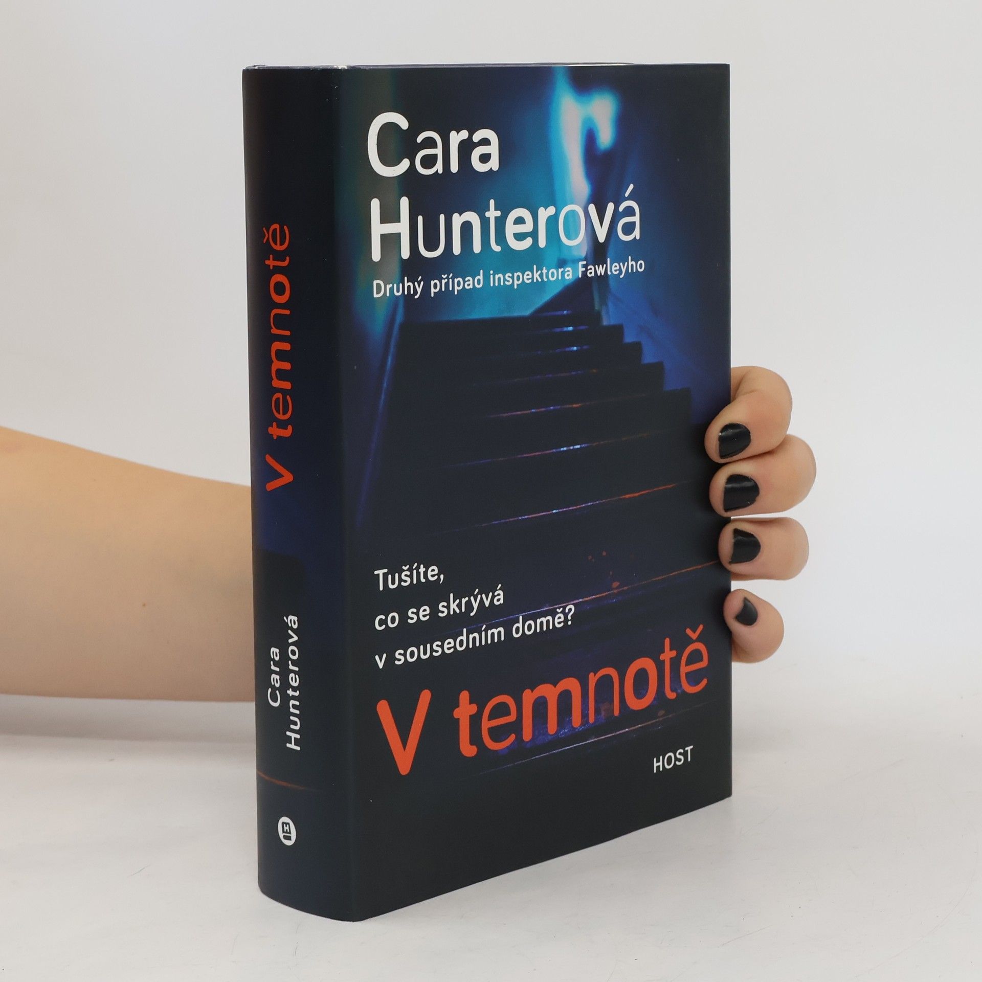 Cara Hunter V temnotě. Druhý příběh inspektora Fawleyho