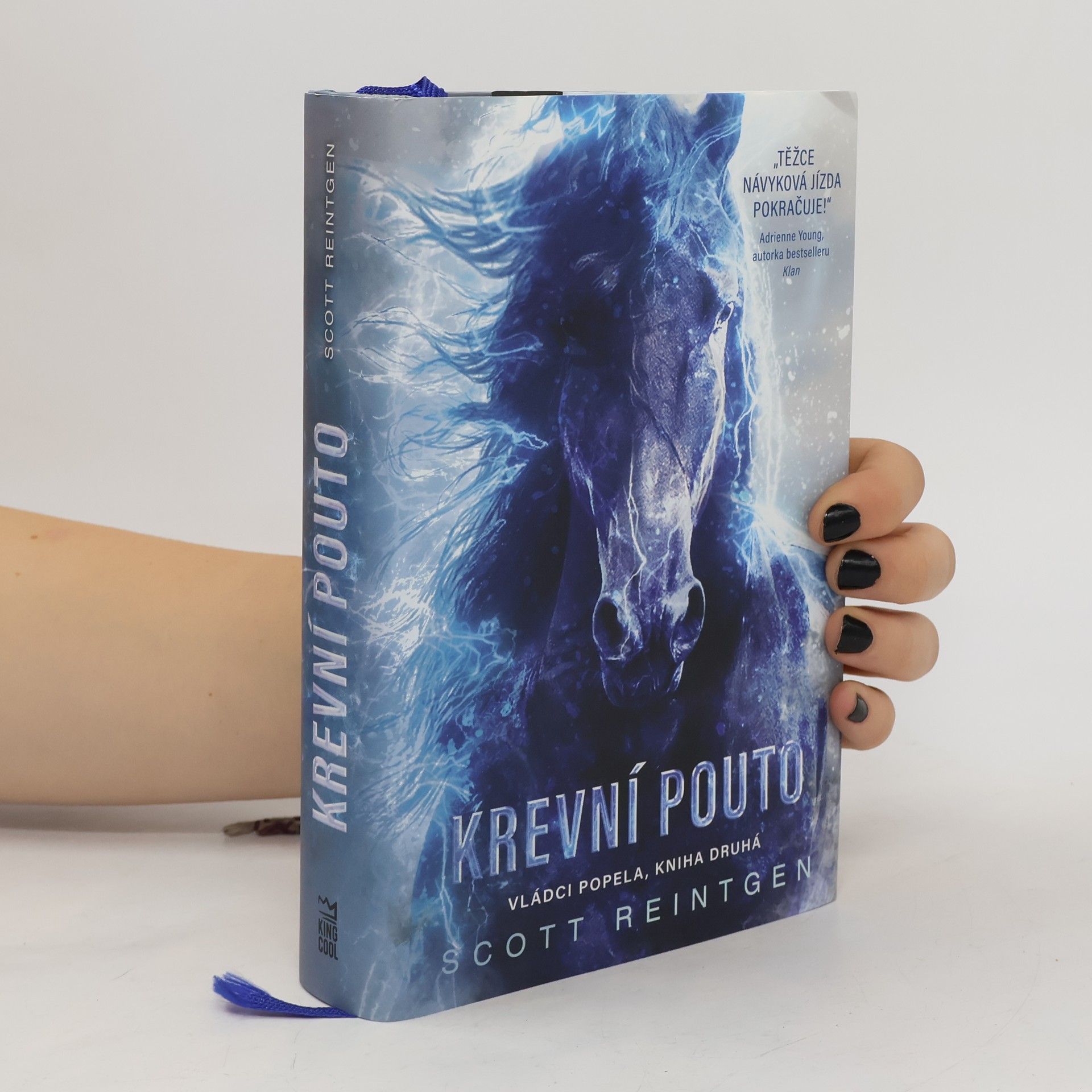 Scott Reintgen Vládci popela. Kniha druhá, Krevní pouto