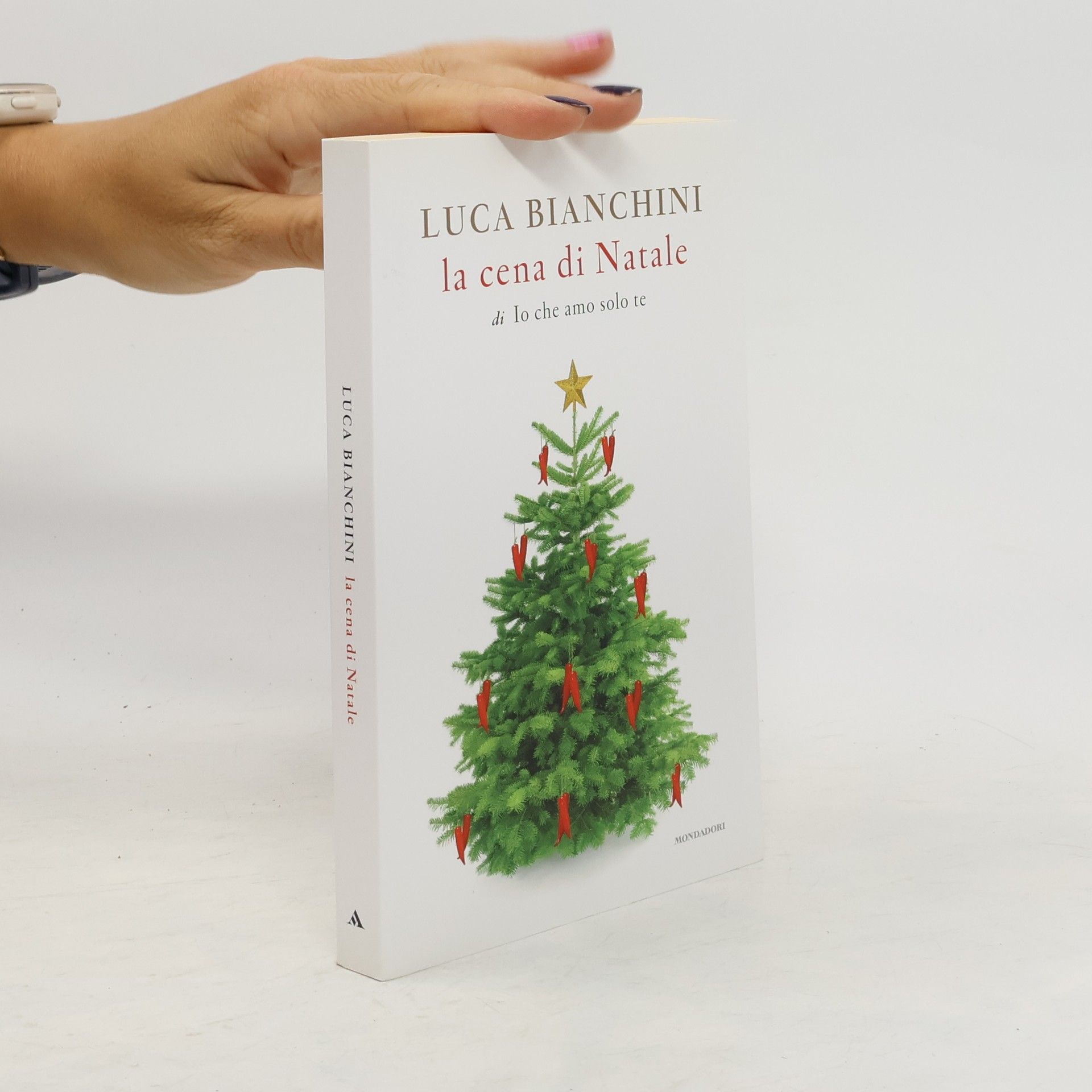 Luca Bianchini La cena di Natale di Io che amo solo te