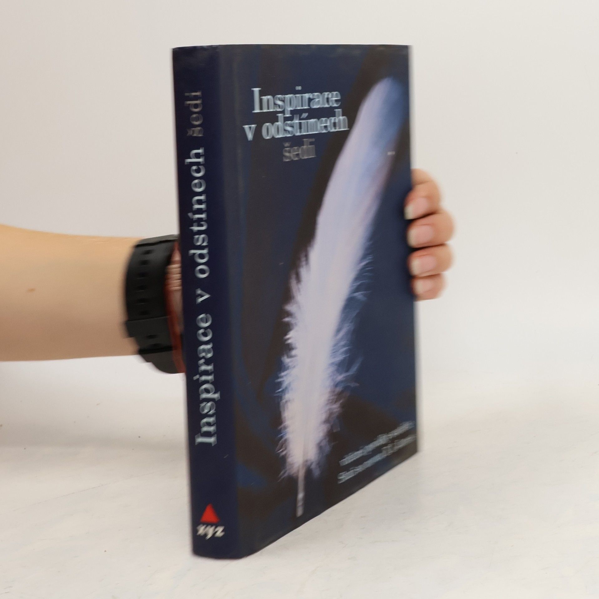 Kolektiv autorů Inspirace v odstínech šedi - Vítězné povídky soutěže Staň se novou E L James