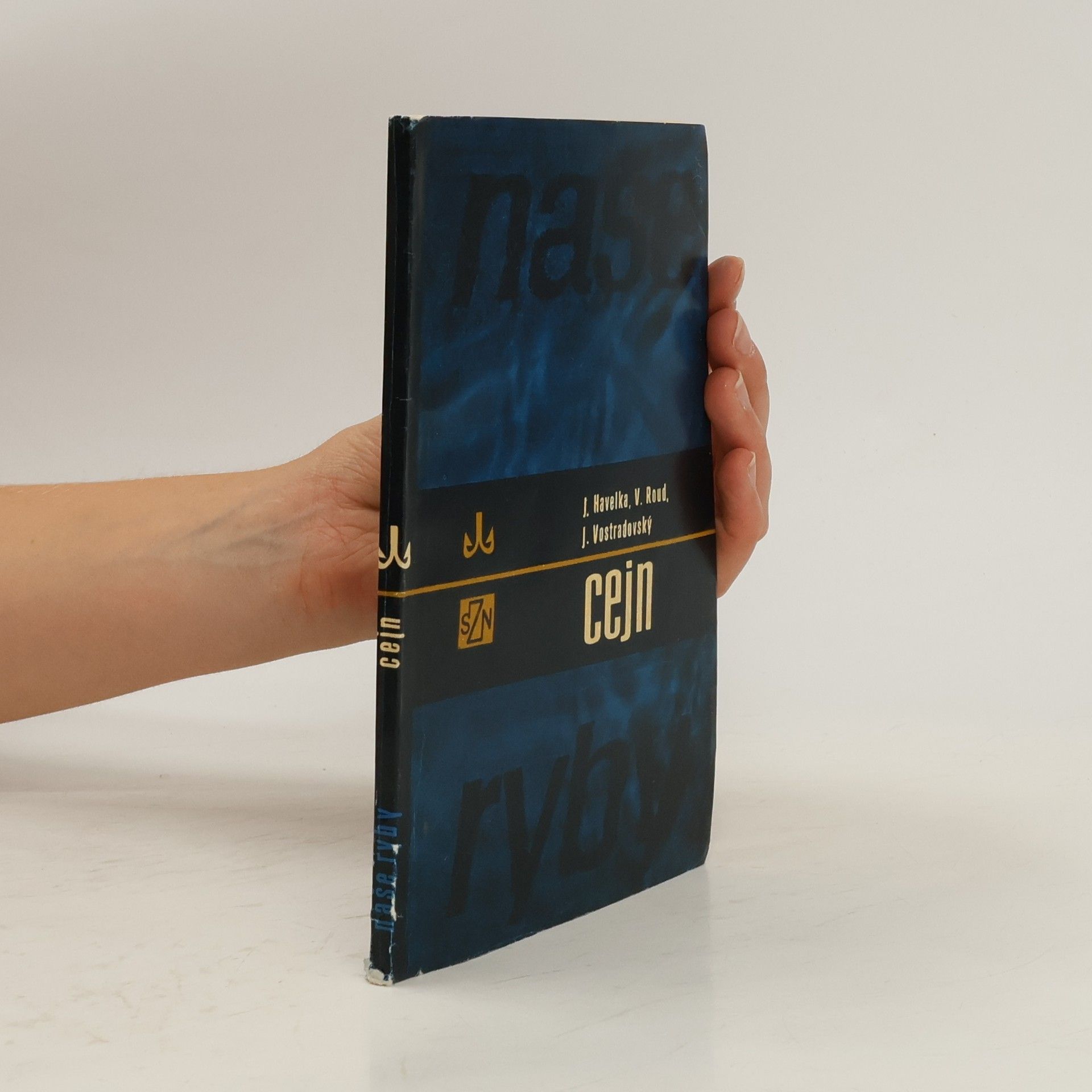 Josef Havelka Cejn