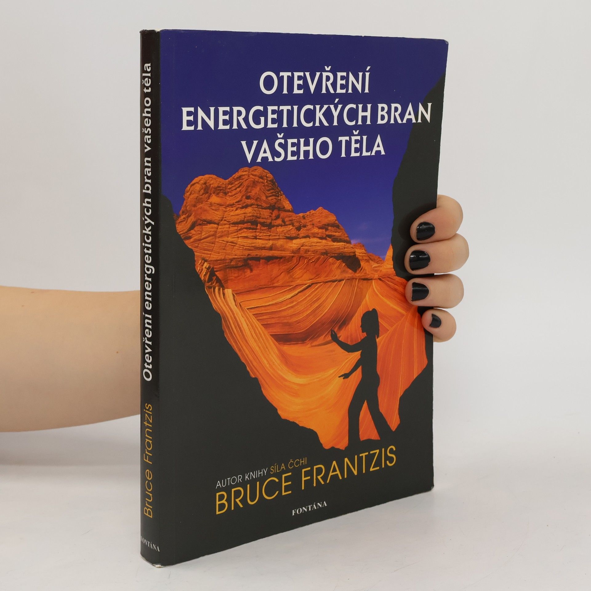 Bruce Kumar Frantzis Otevření energetických bran vašeho těla
