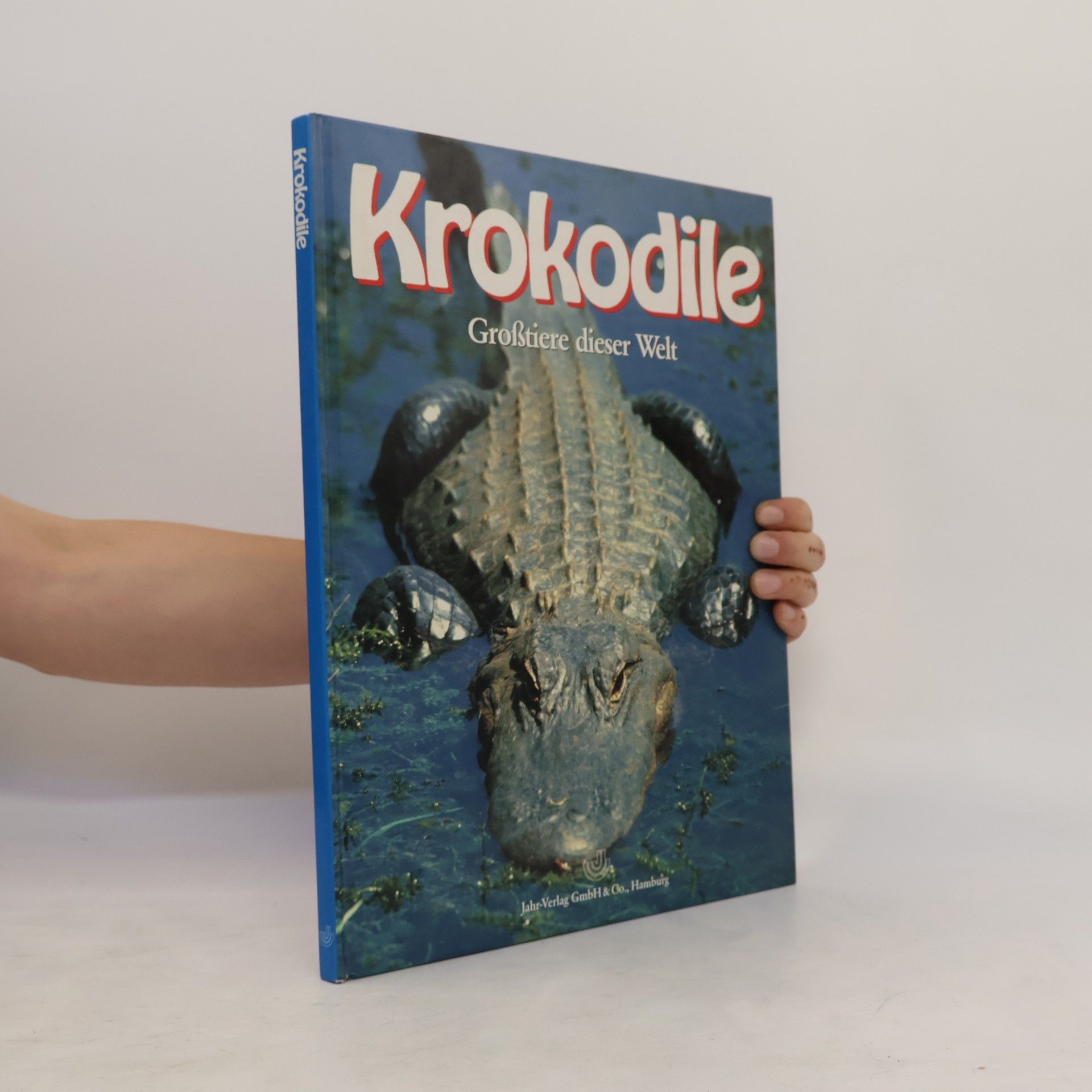 Lesley Dow Krokodile