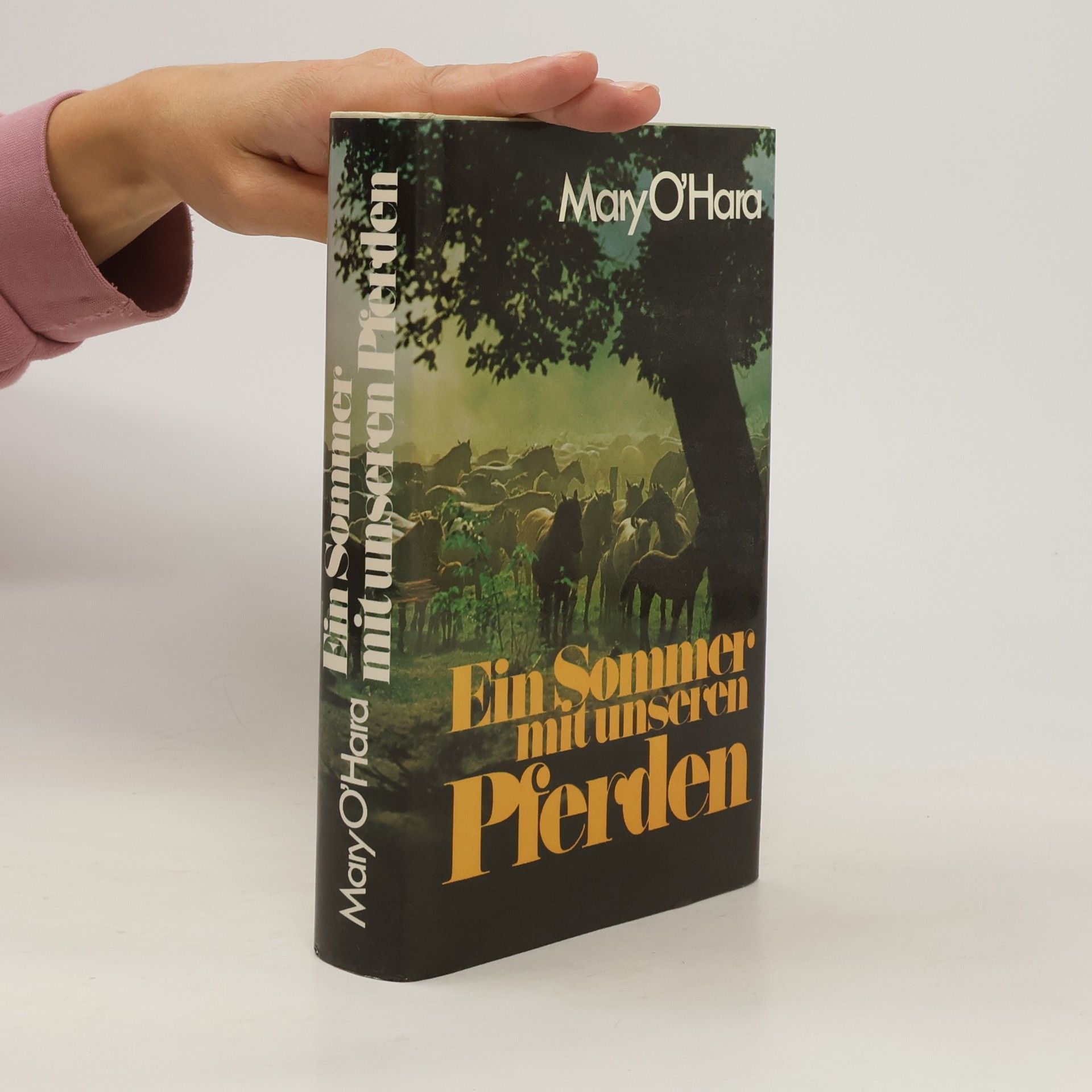 Mary O'Hara Ein Sommer mit unseren Pferden