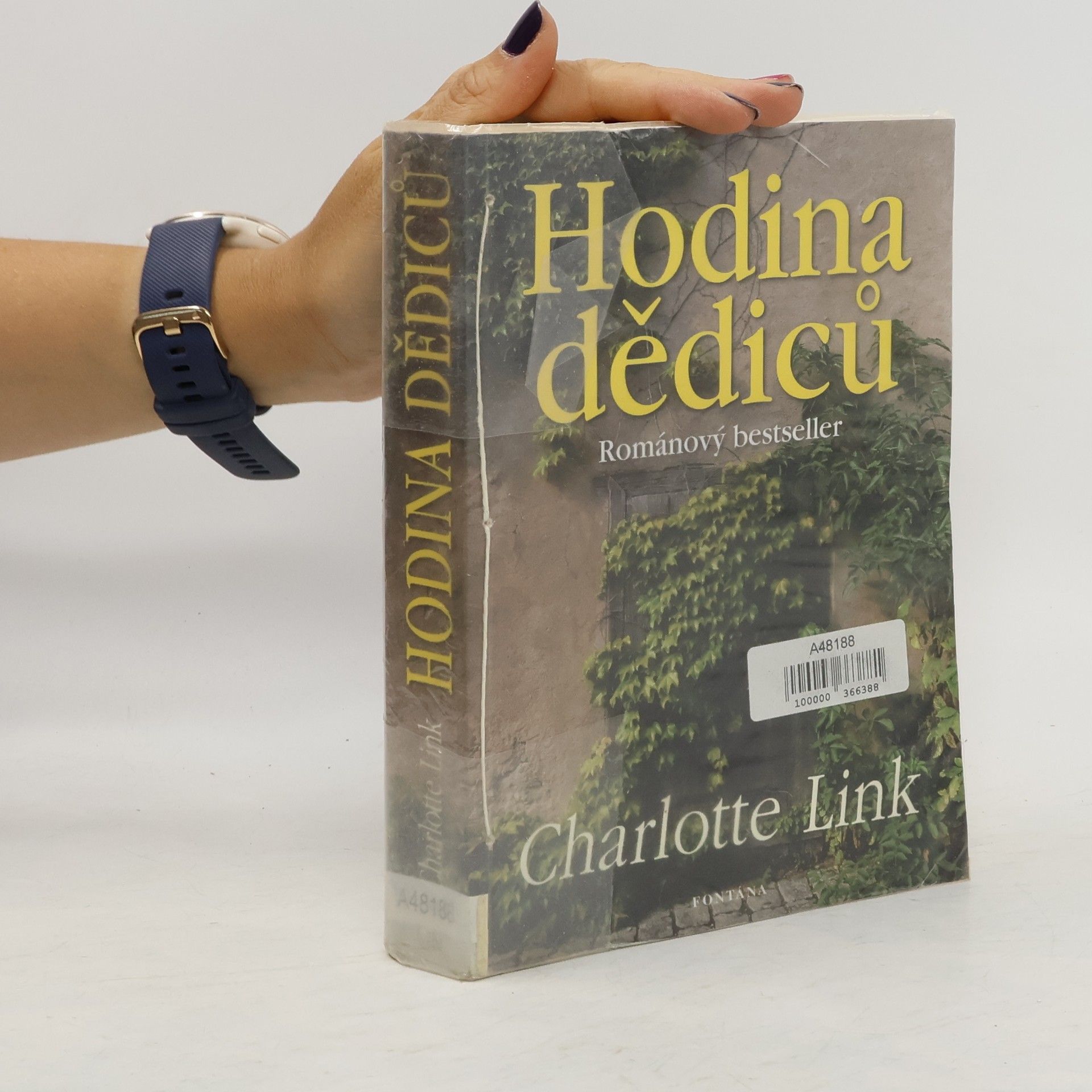 Charlotte Link Hodina dědiců