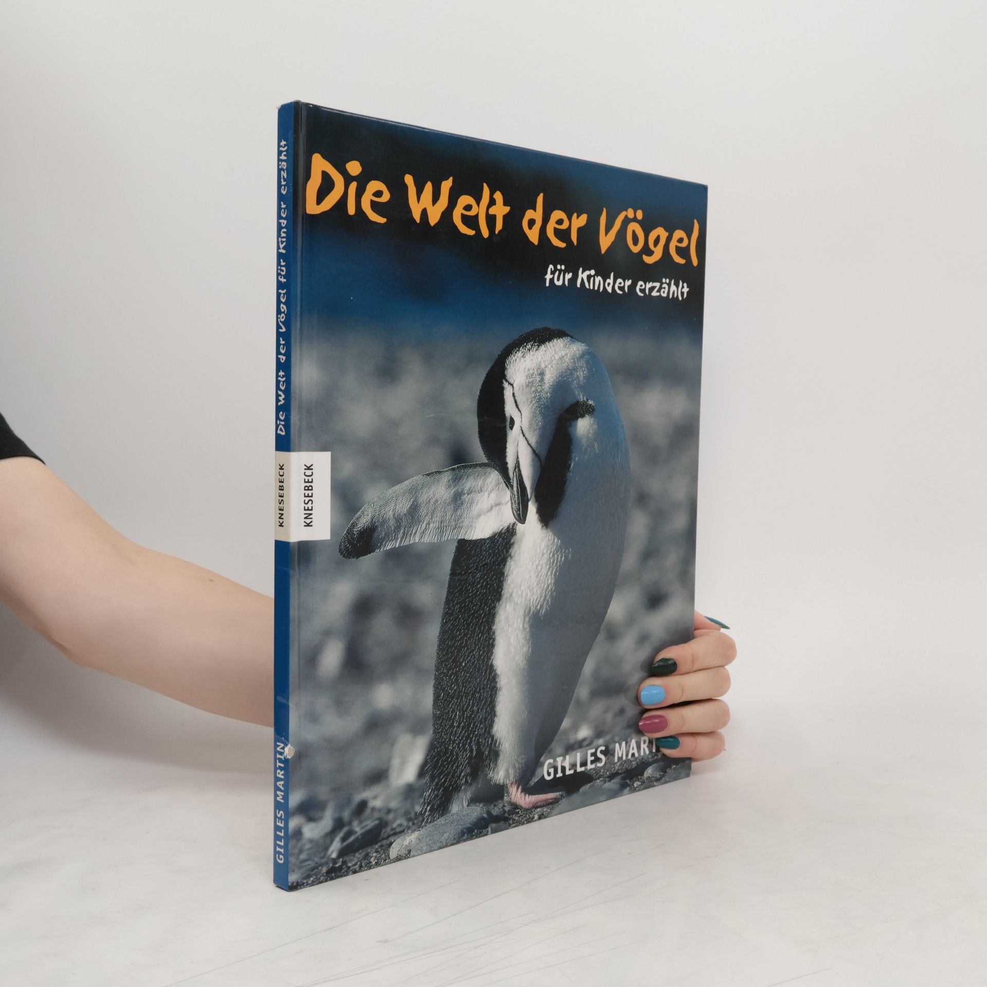 Gilles Martin Die Welt der Vögel - für Kinder erzählt