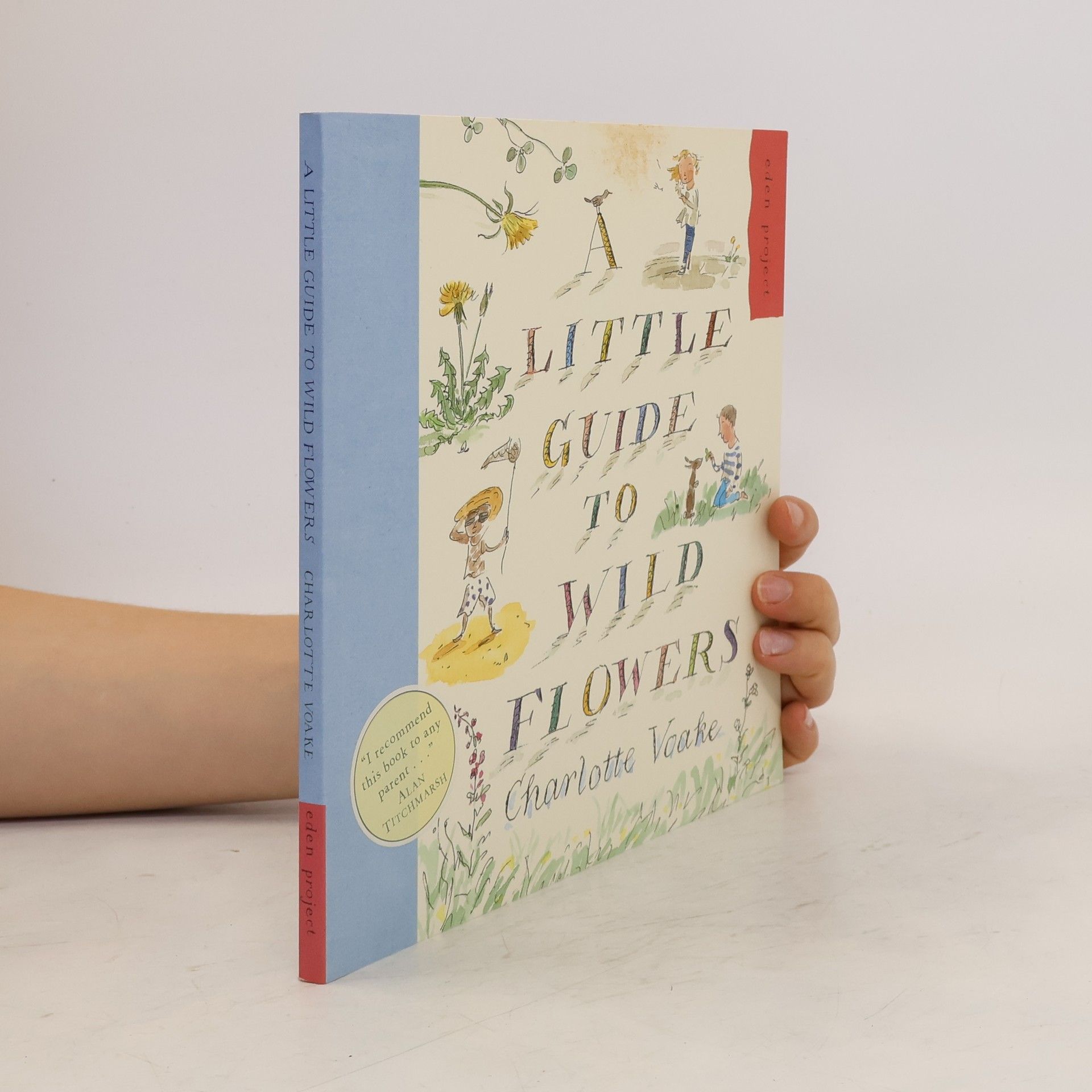 Charlotte Voake A Little Guide To Wild Flowers