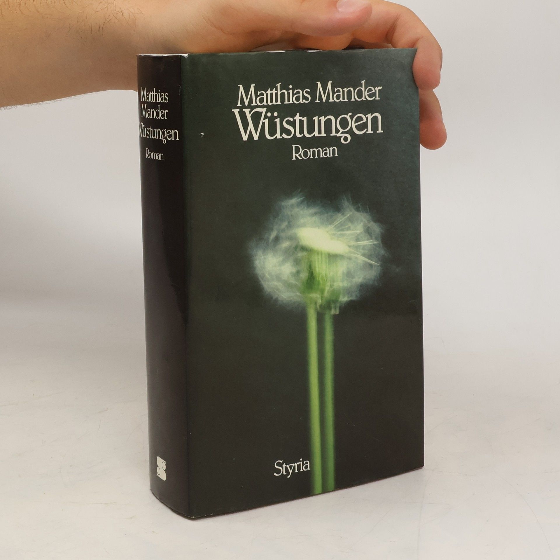 Matthias Mander Wüstungen