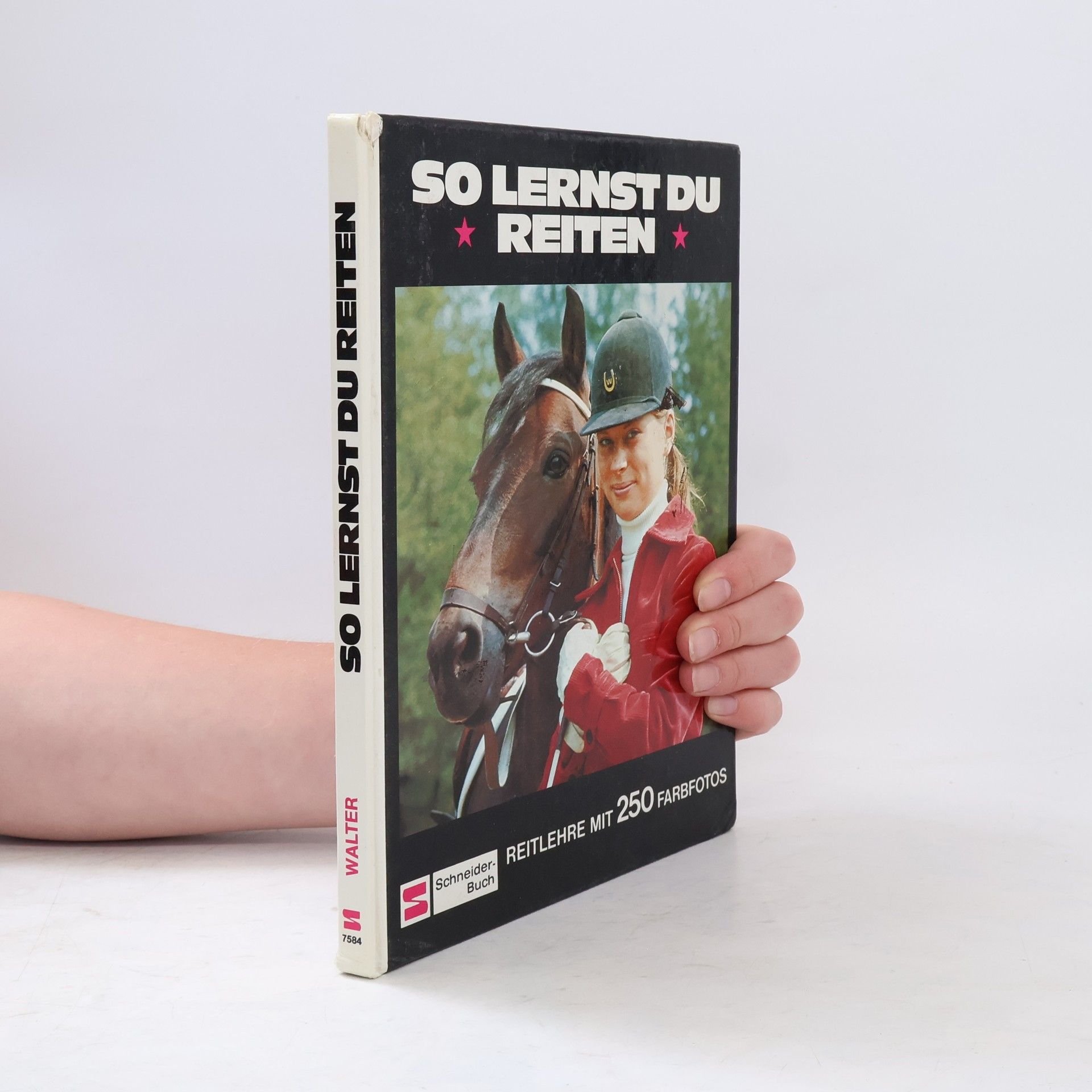 So lernst du reiten
