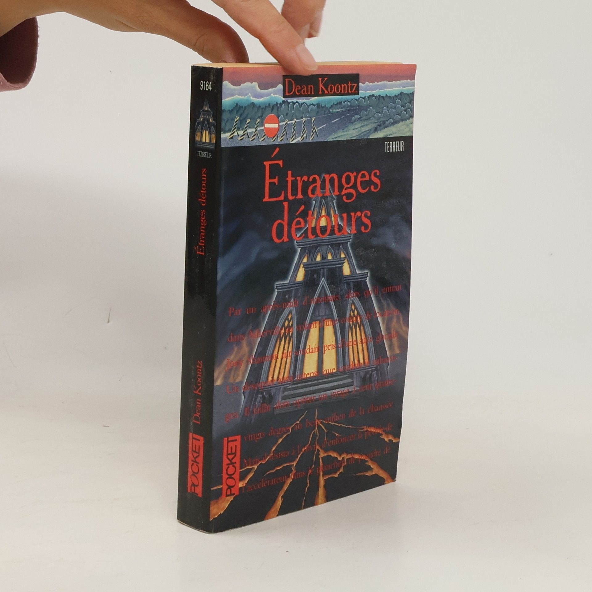 Dean R. Koontz Étranges détours
