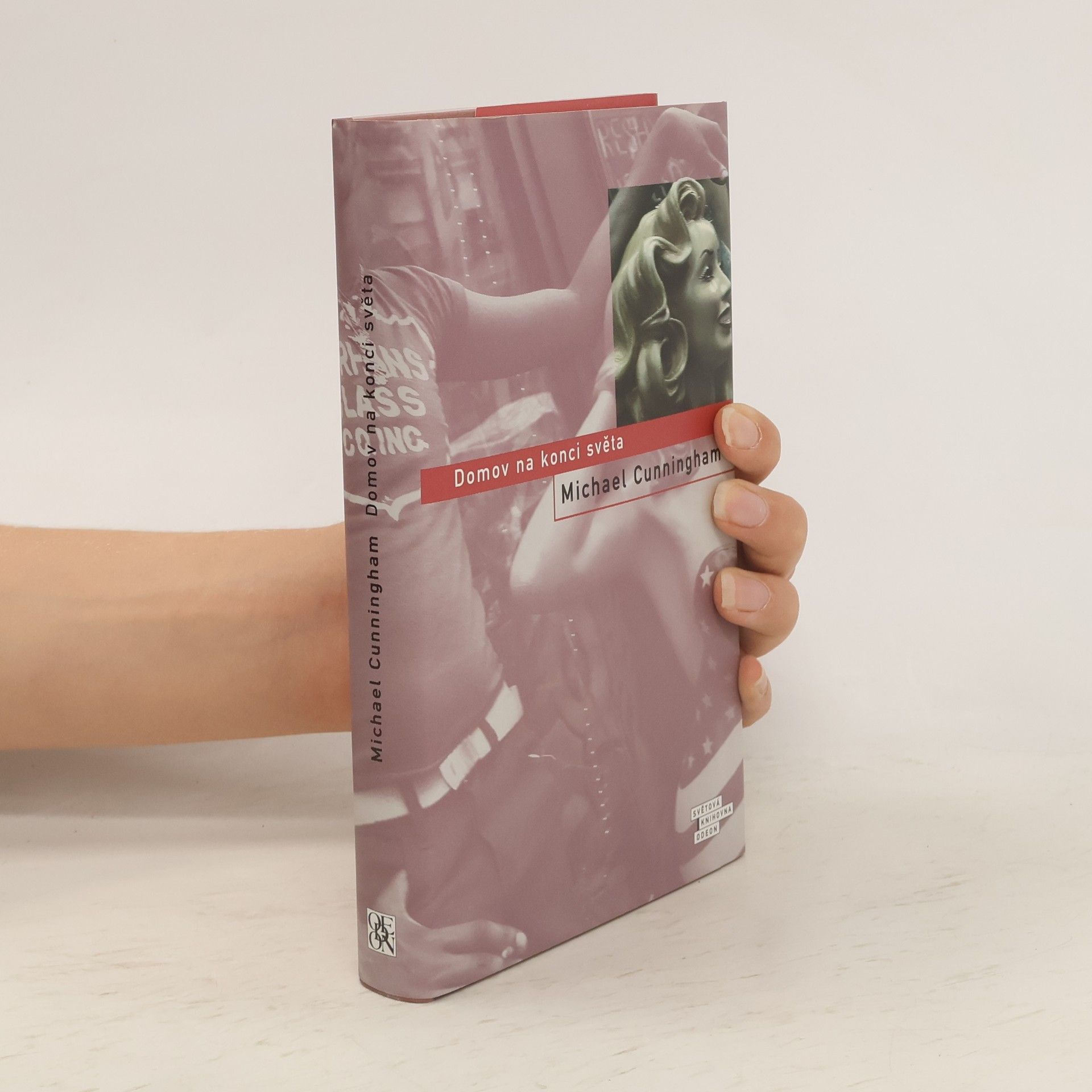 Michael Cunningham Domov na konci světa