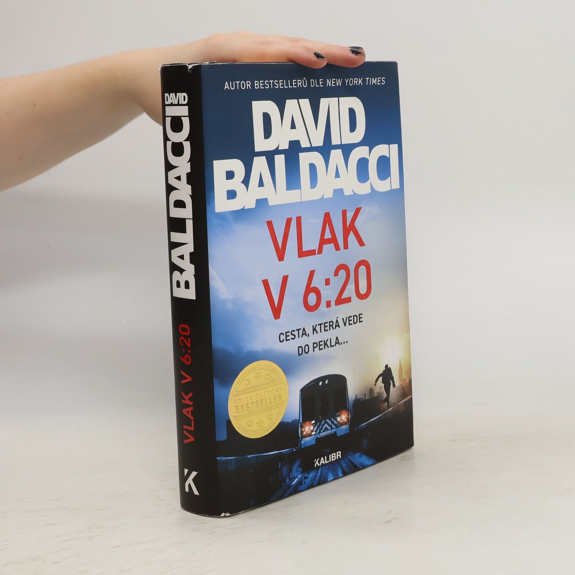 David Baldacci Vlak v 6:20