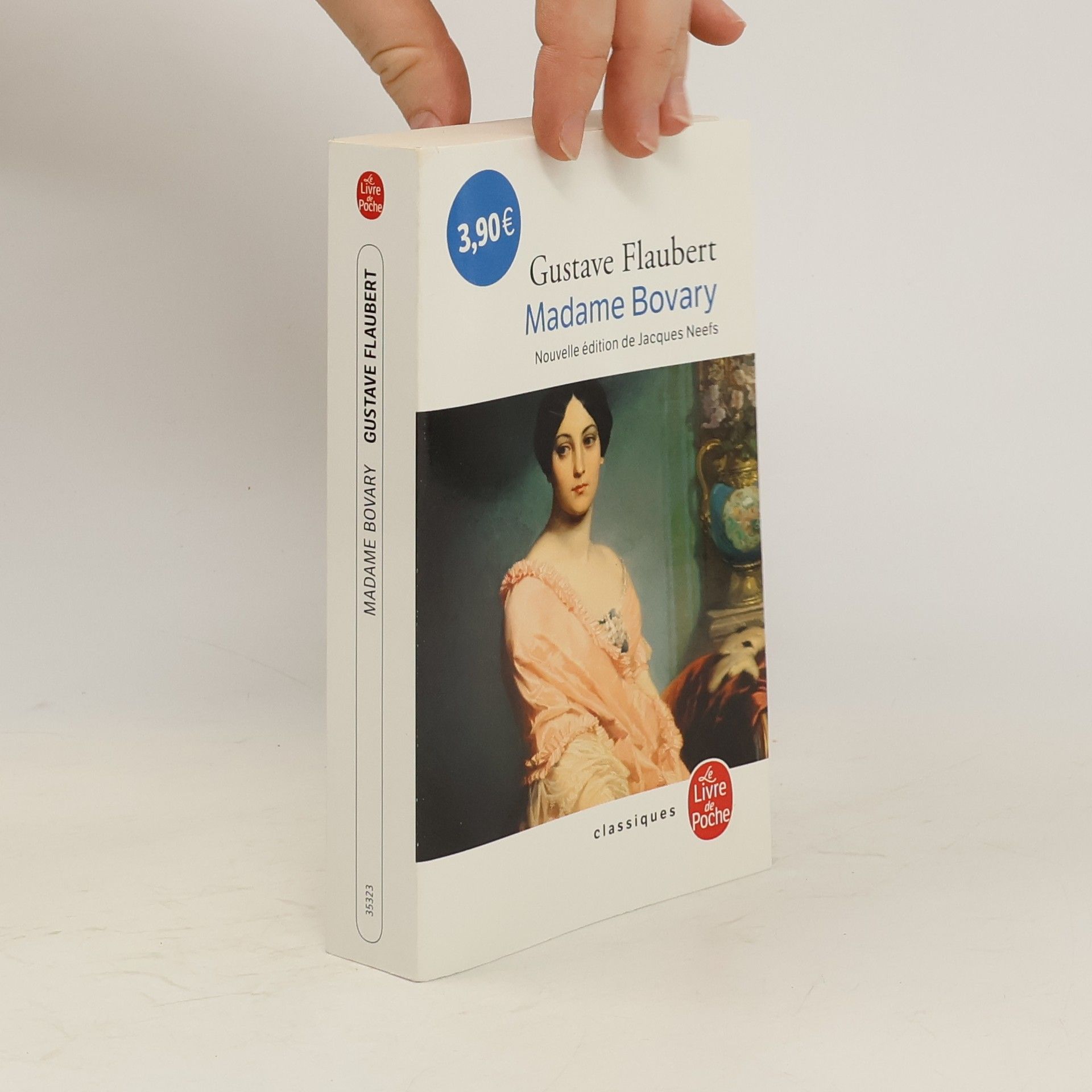 Gustave Flaubert Madame Bovary
