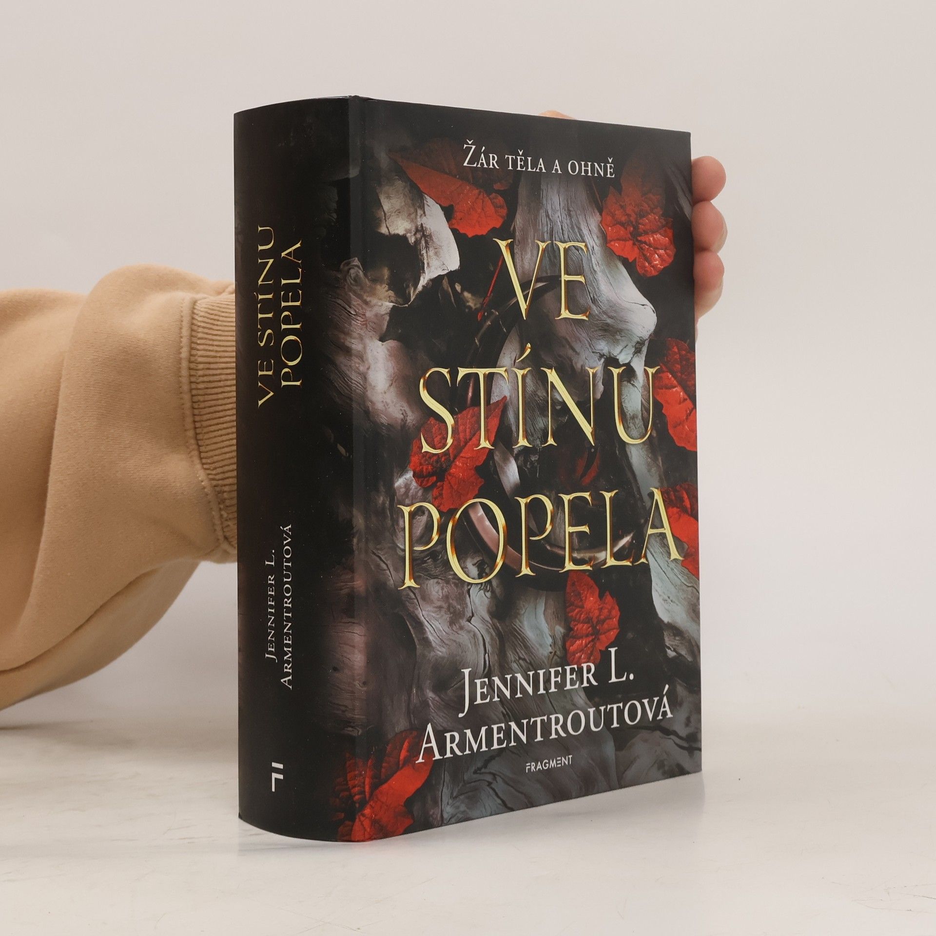 Jennifer L. Armentrout Ve stínu popela