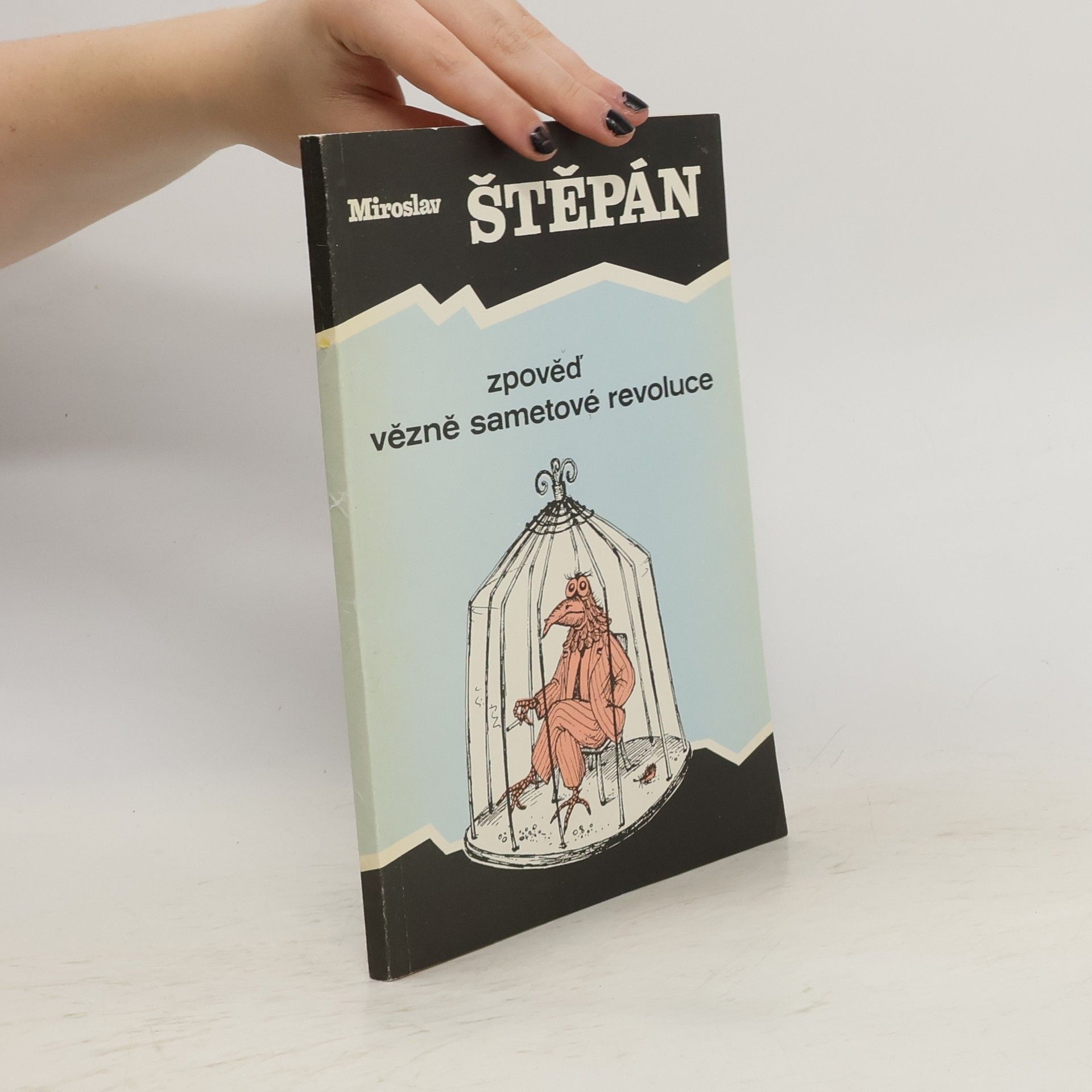 Miroslav Štěpán Zpověď vězně sametové revoluce