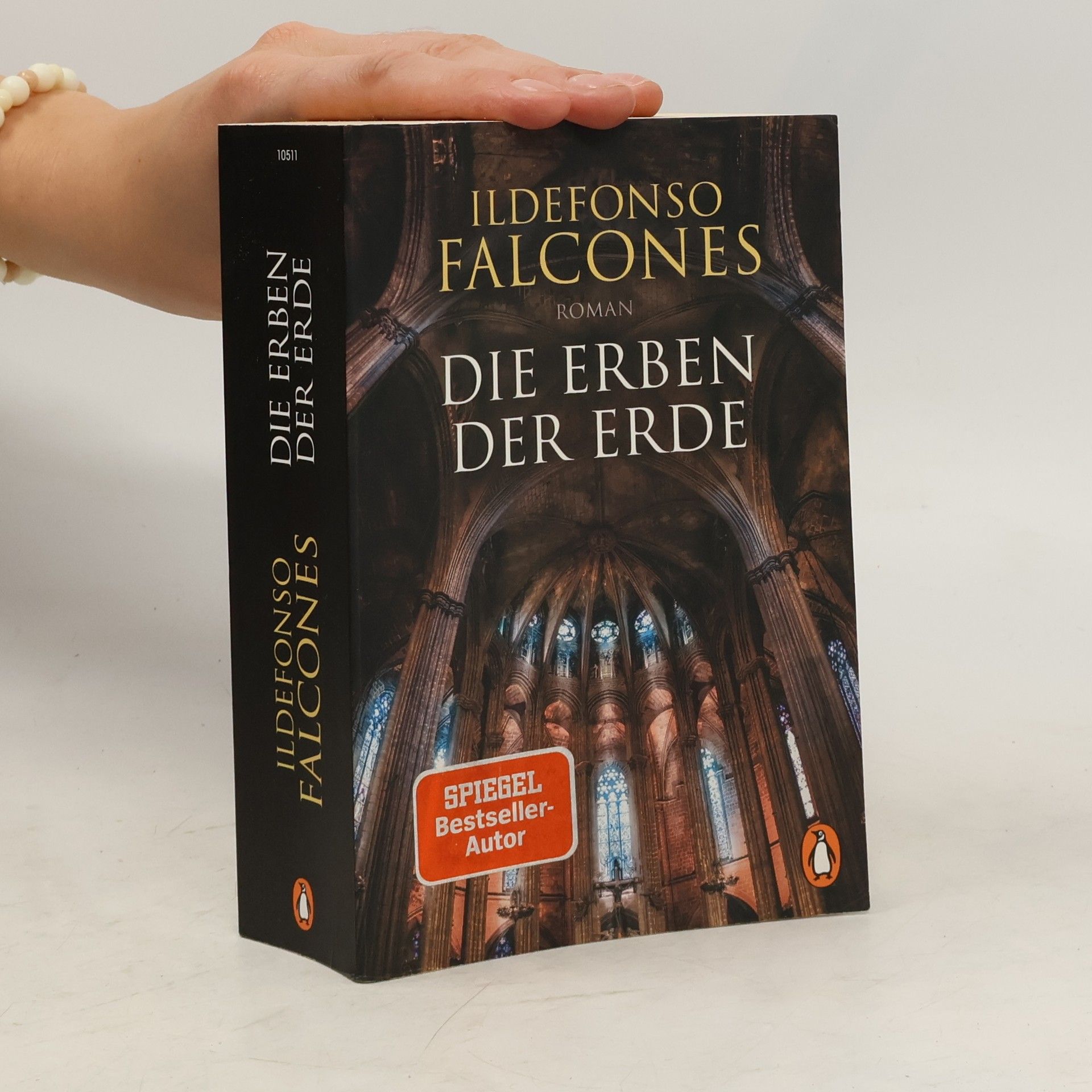 Ildefonso Falcones Die Erben der Erde