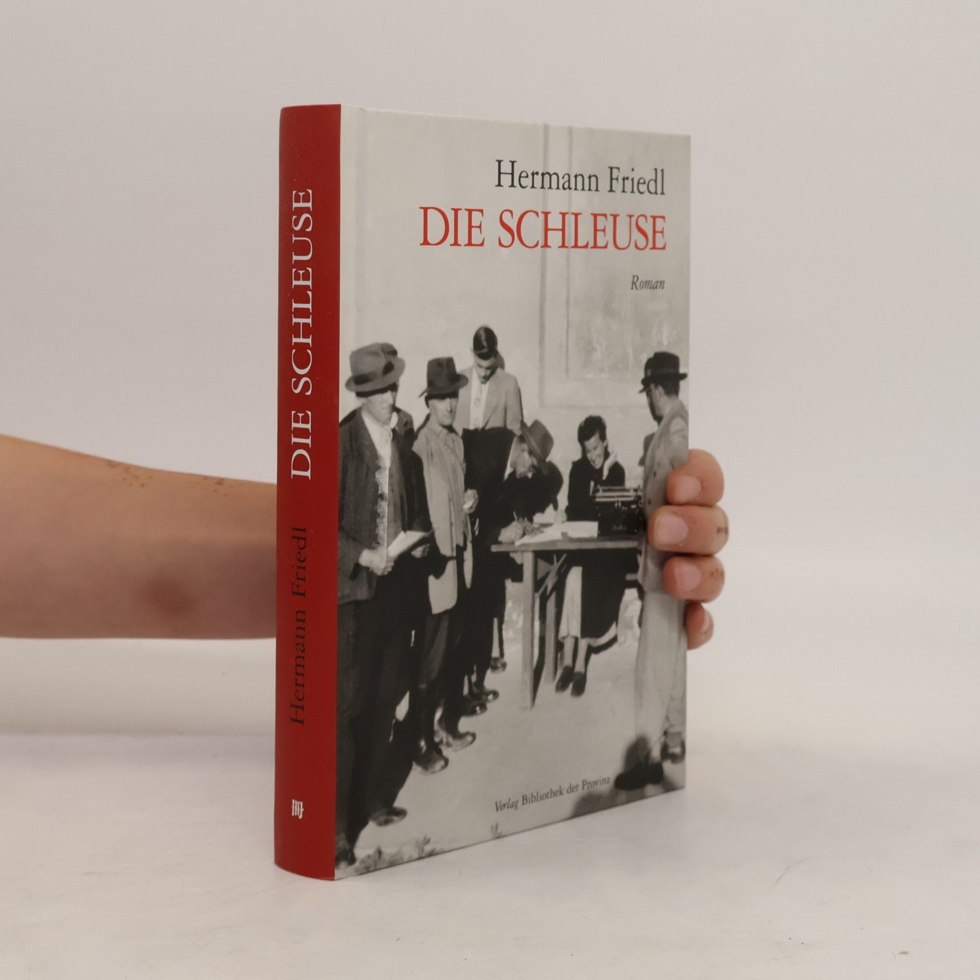 Hermann Friedl Die Schleuse. Roman